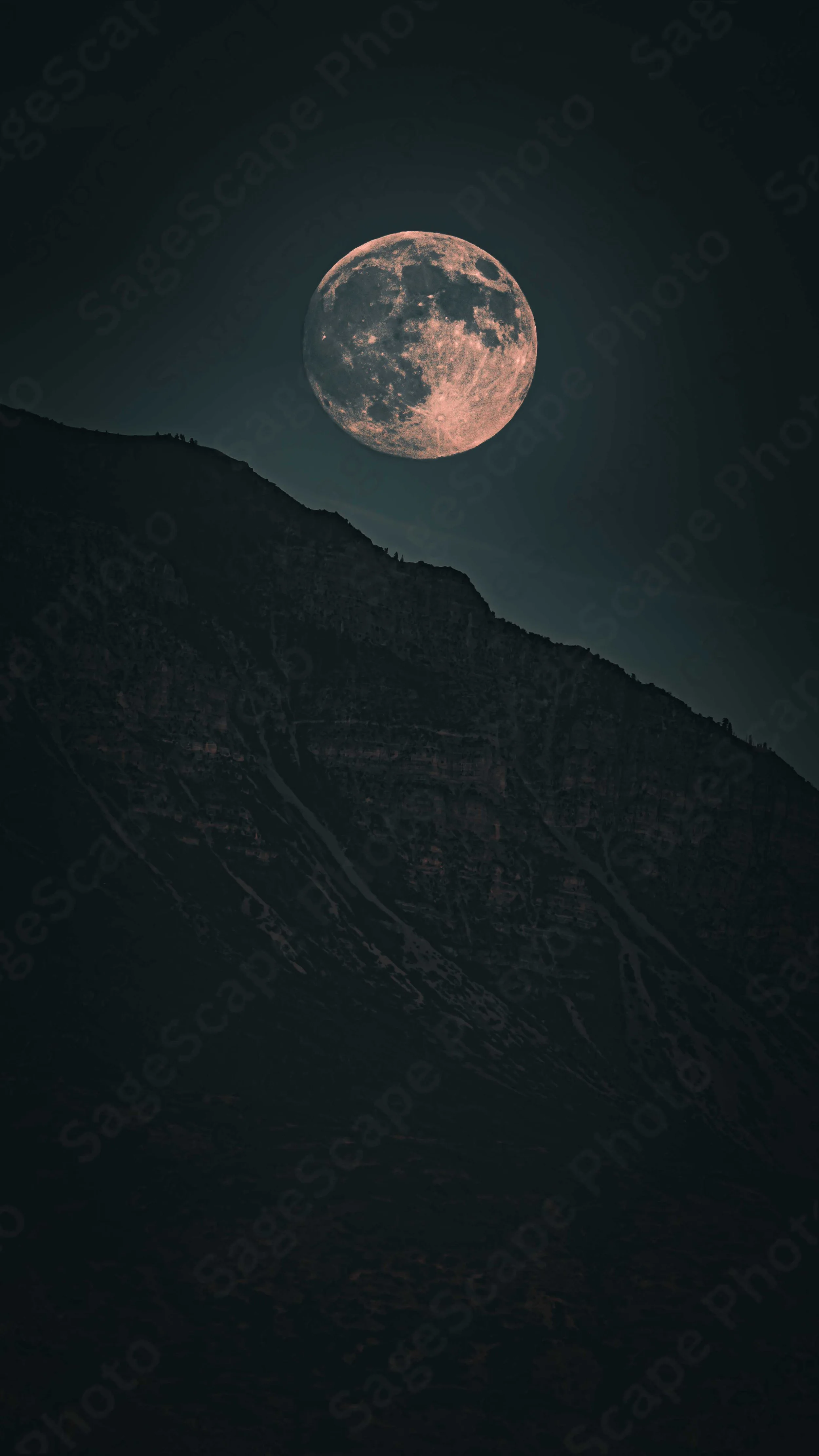 Featured - Apollo Rising