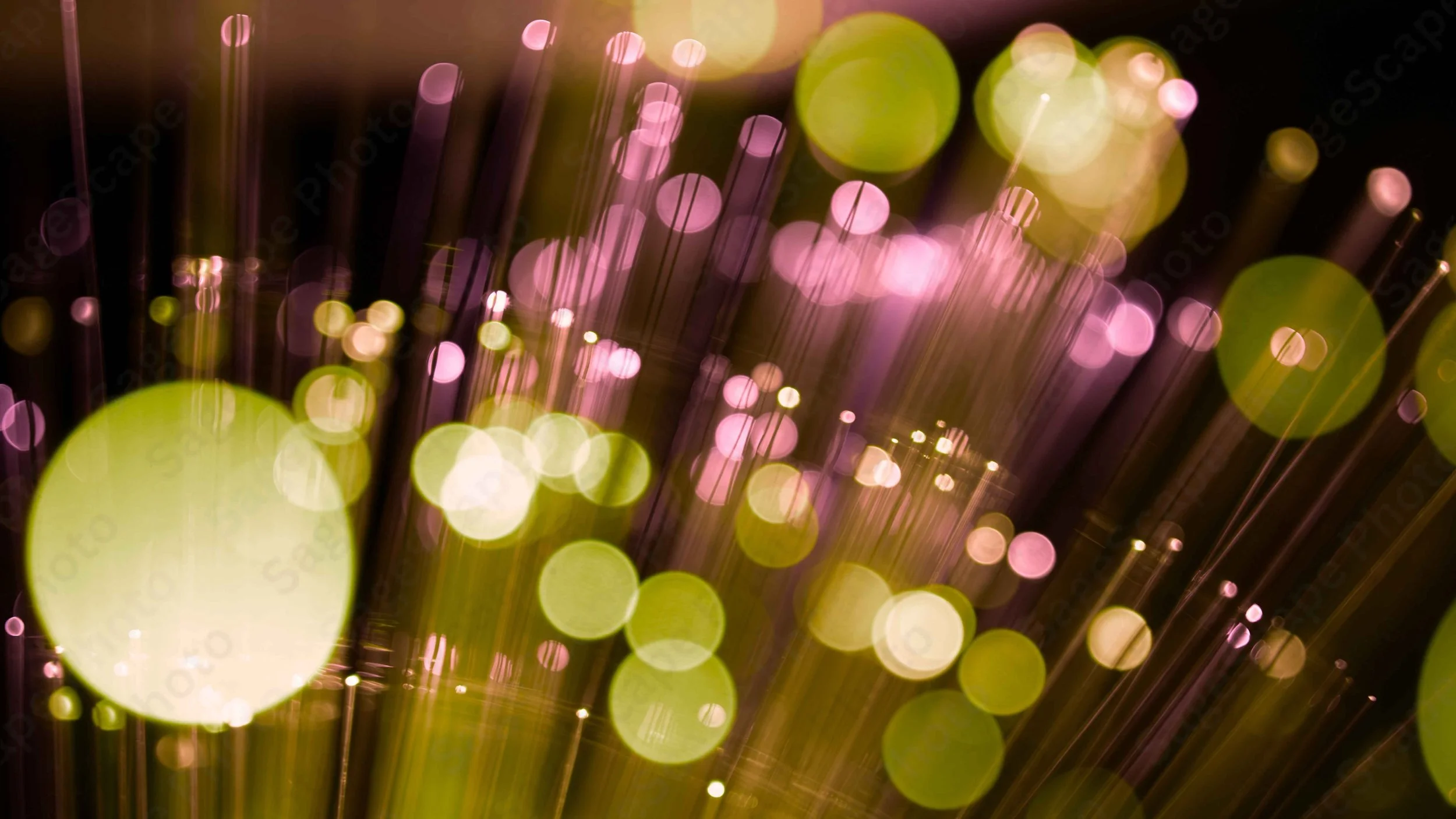 Party Lights