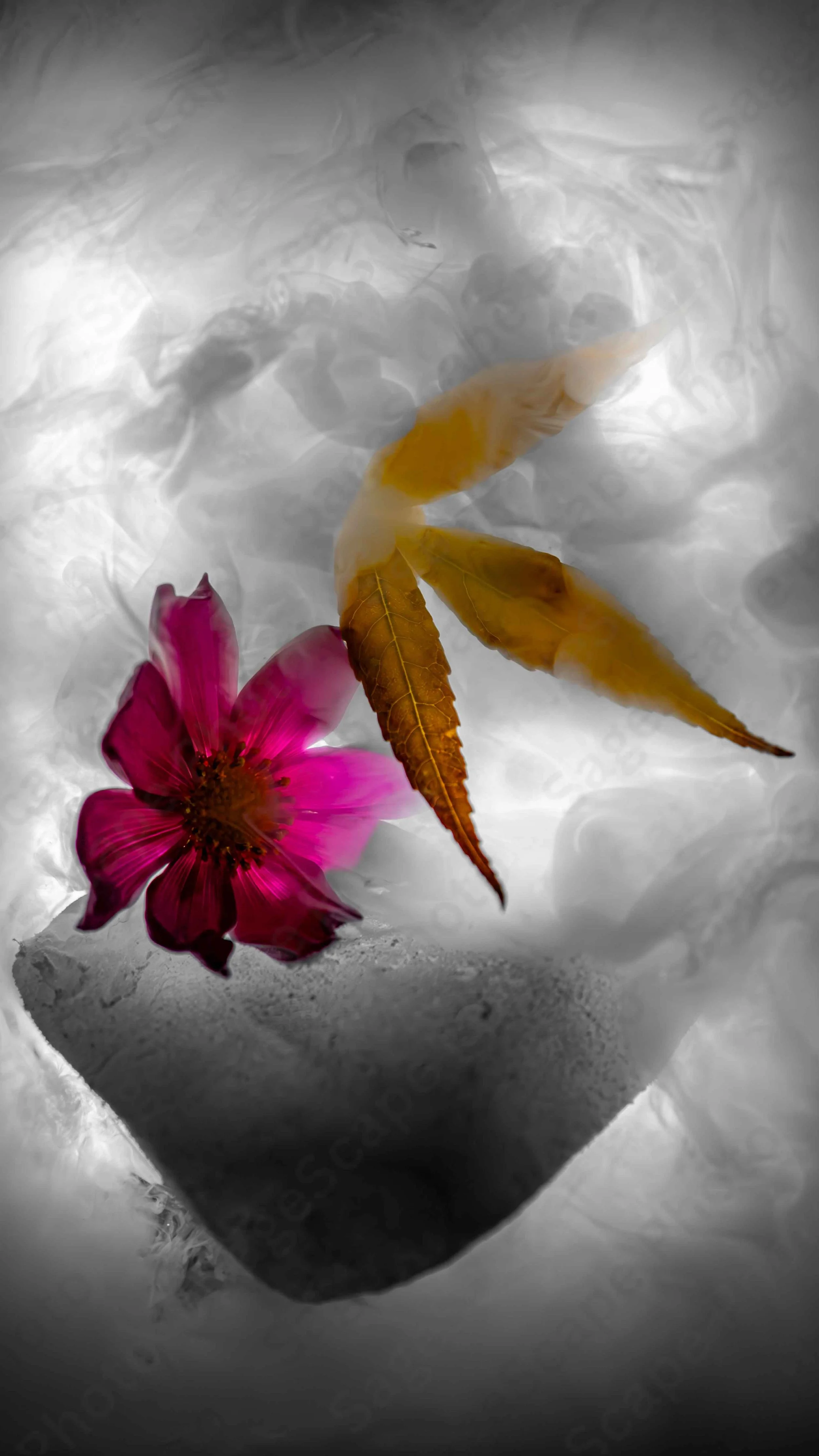 Winter Embalms Autumn