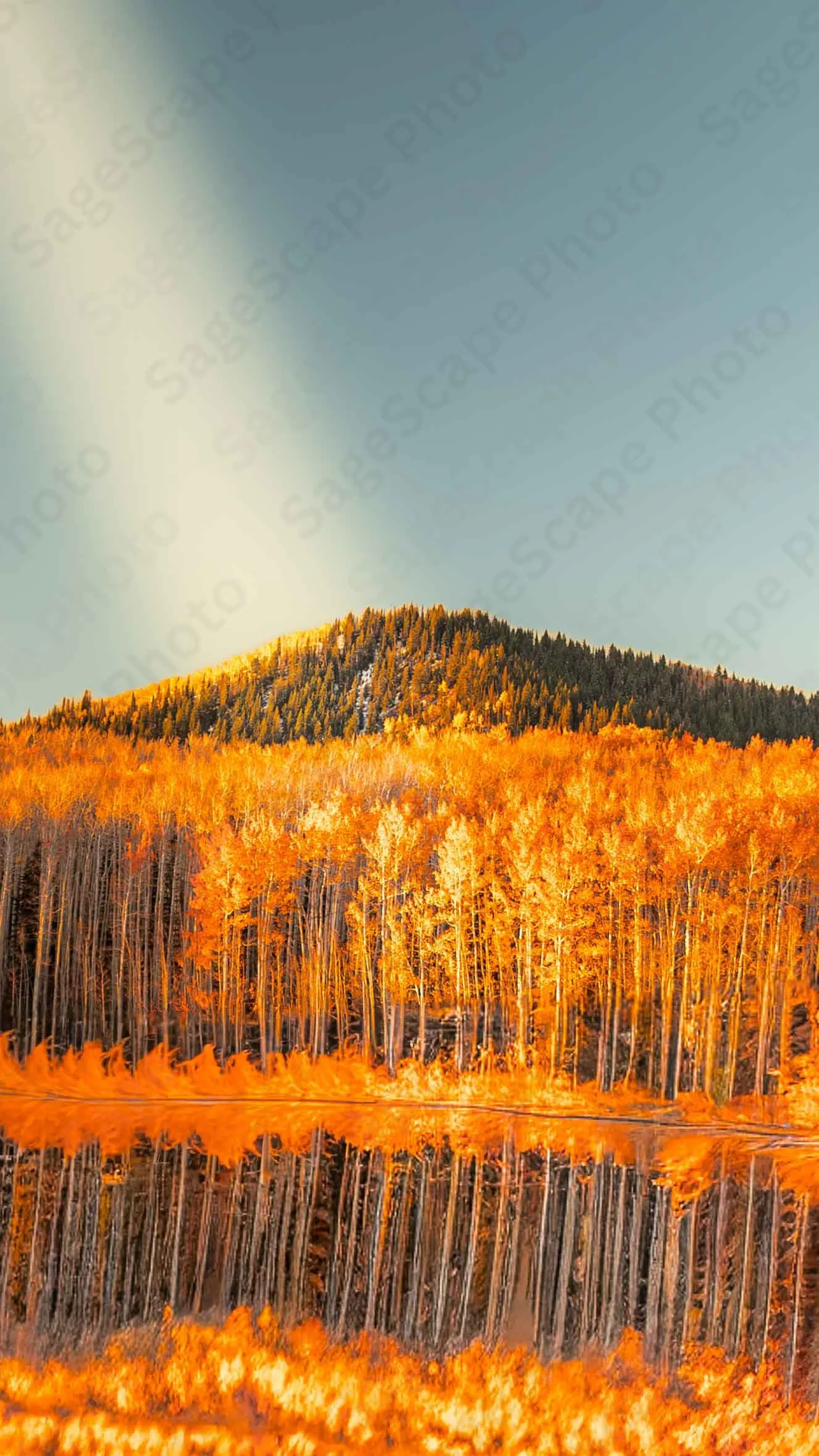God's Magnifying Glass