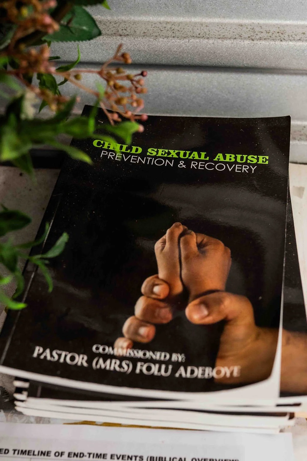 Brochure titled “Child Sexual Abuse Prevention & Recovery” by Pastor (Mrs) Folu Adeyemi, featuring clasped hands.