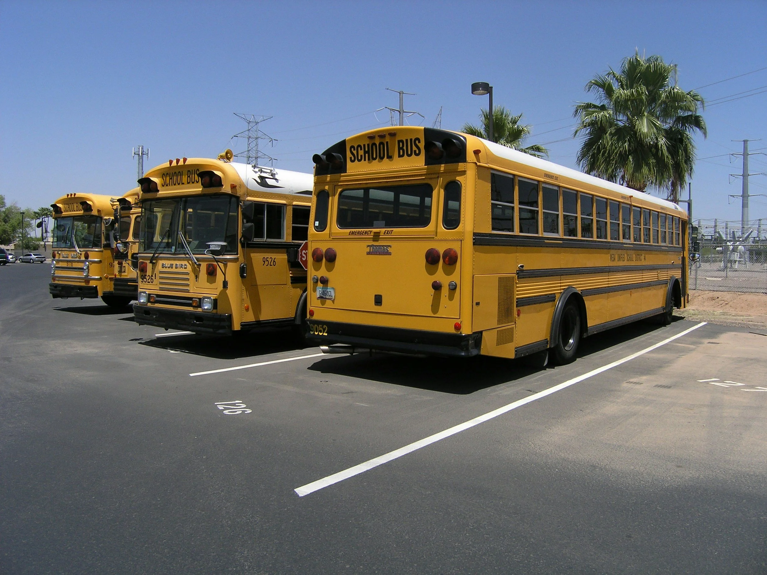 Three yellow school buses parked in a lot under a blue sky with palm trees in the background.