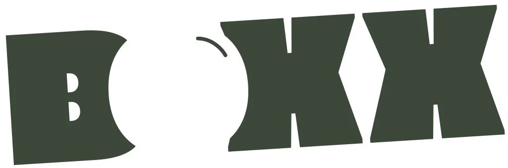 The word 'BOXX' in bold, stylized green letters with a slight tilt.