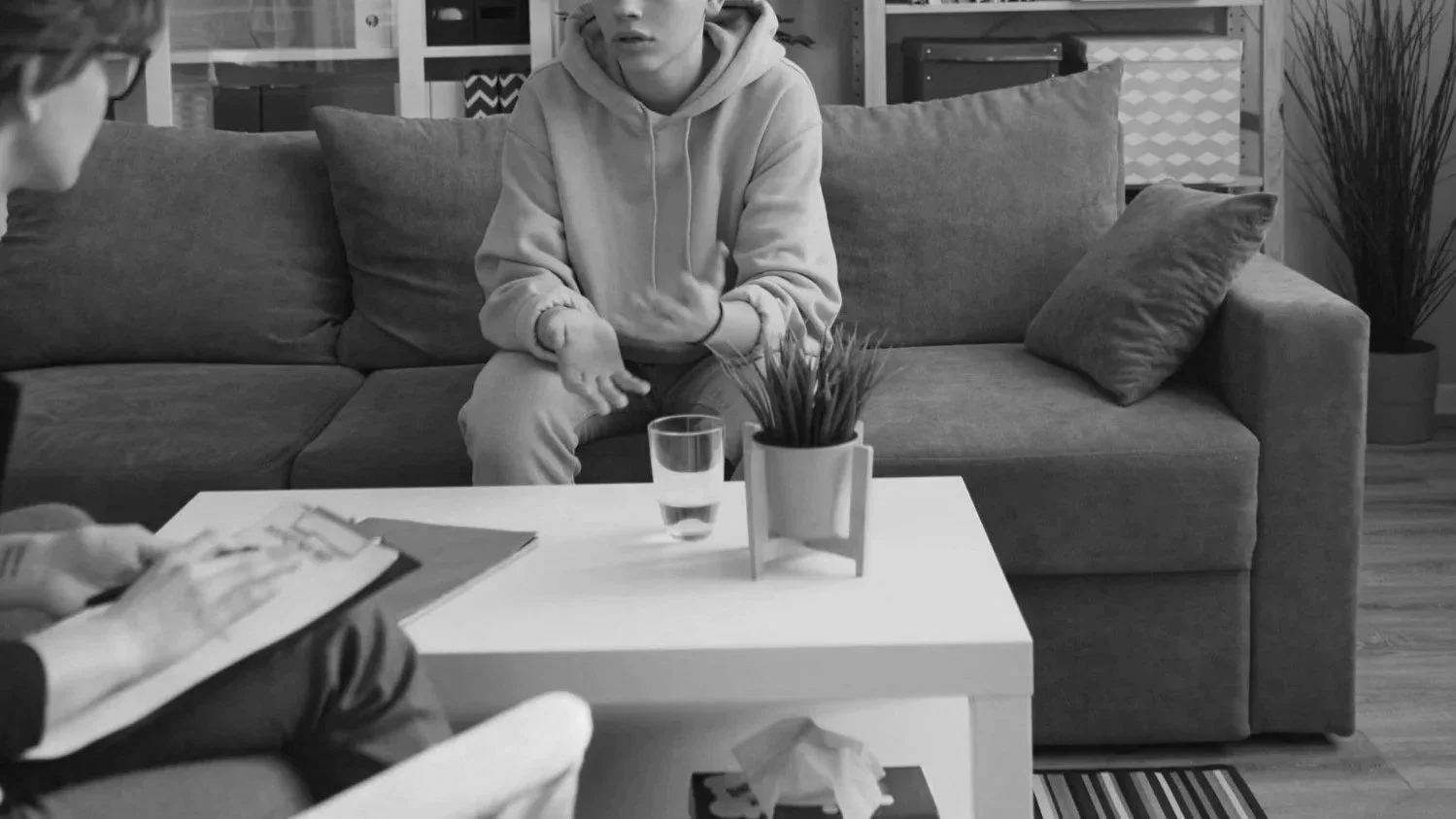 A person in a hoodie sitting on a couch with hands gesturing, talking to another person holding a clipboard, with a small table in front with a plant, a glass of water, and tissues.