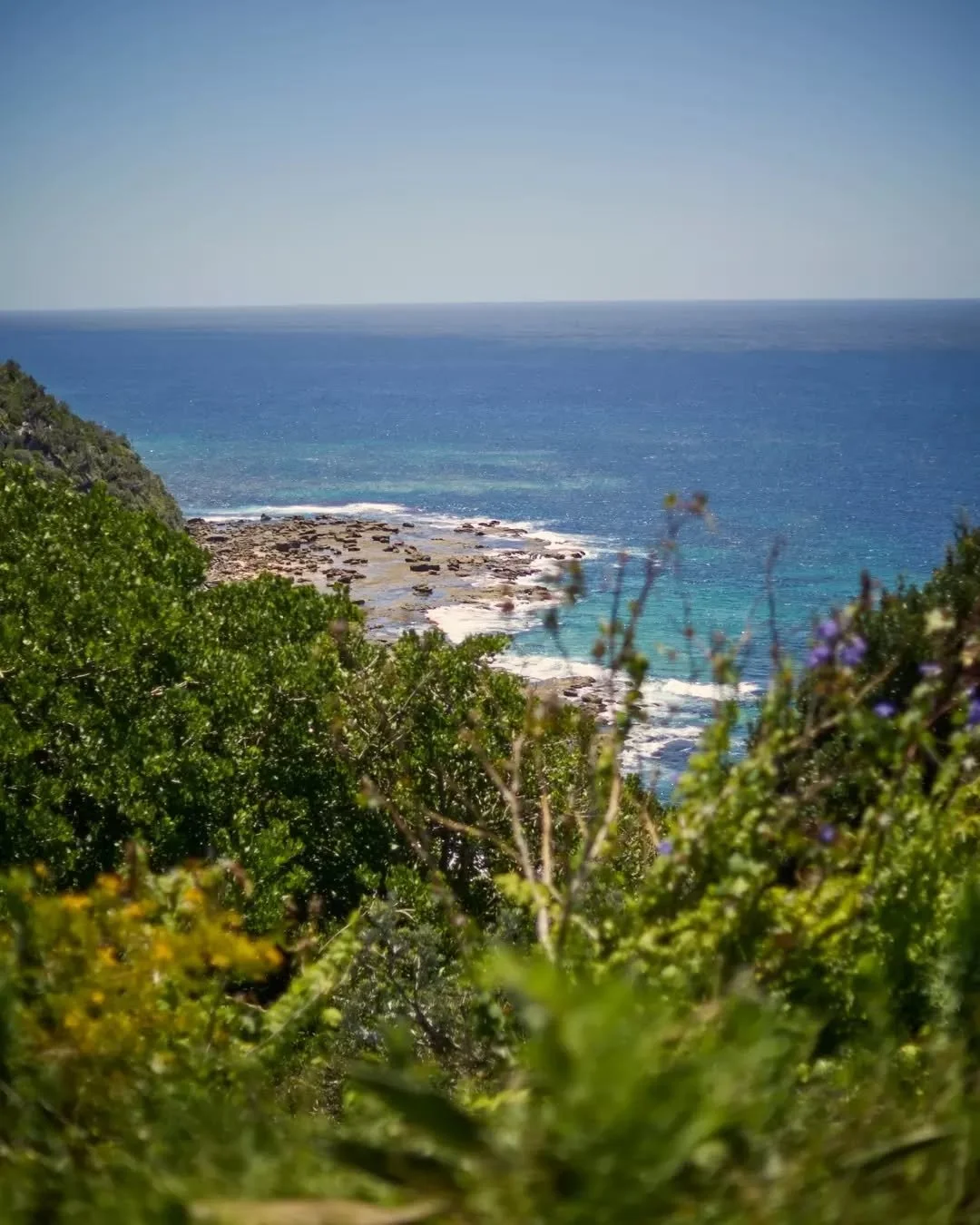 Wishing a very Merry Christmas to those who celebrate! 🎄

We hope your day is filled with joy, laughter, and plenty of sunshine. 

Enjoy the celebrations with your favourite people, and we look forward to seeing you back for a cold drink and this vi