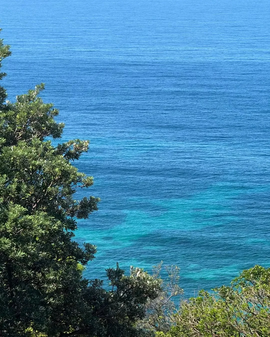 Is it the Illawarra or the islands? The water is so clear you&rsquo;d swear there&rsquo;s a reef just offshore 🏝️

Come down and soak in the paradise. We&rsquo;ve got $20 Fish &amp; Chips running all day today, pair it with a cold one and the best v