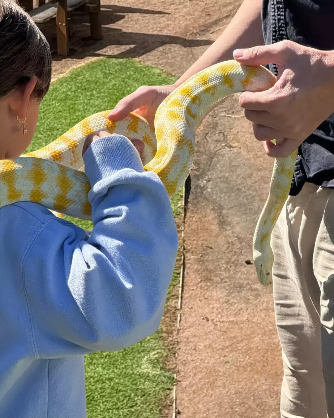Thanks to everyone who came along for our school holiday activities - we loved having you here!

We&rsquo;re already planning what&rsquo;s next&hellip; what would you love to see at Scarborough?