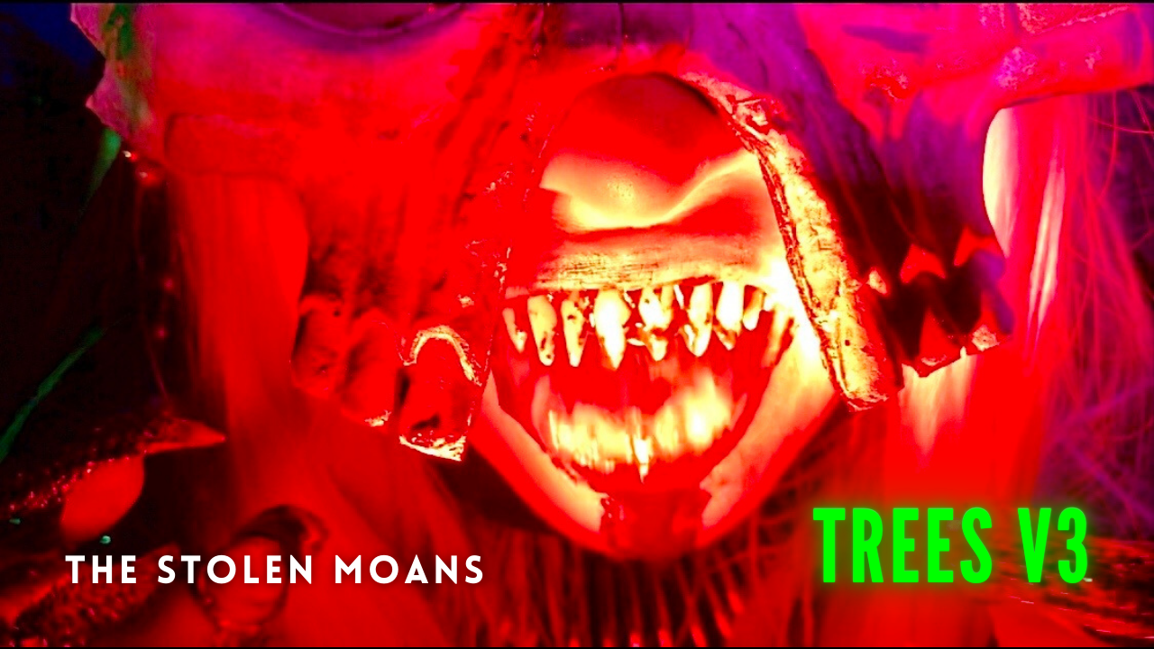 YouTube music video for “Trees (V3)” by The Stolen Moans.