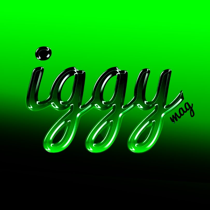 IGGY Magazine reviews Dada Catapult