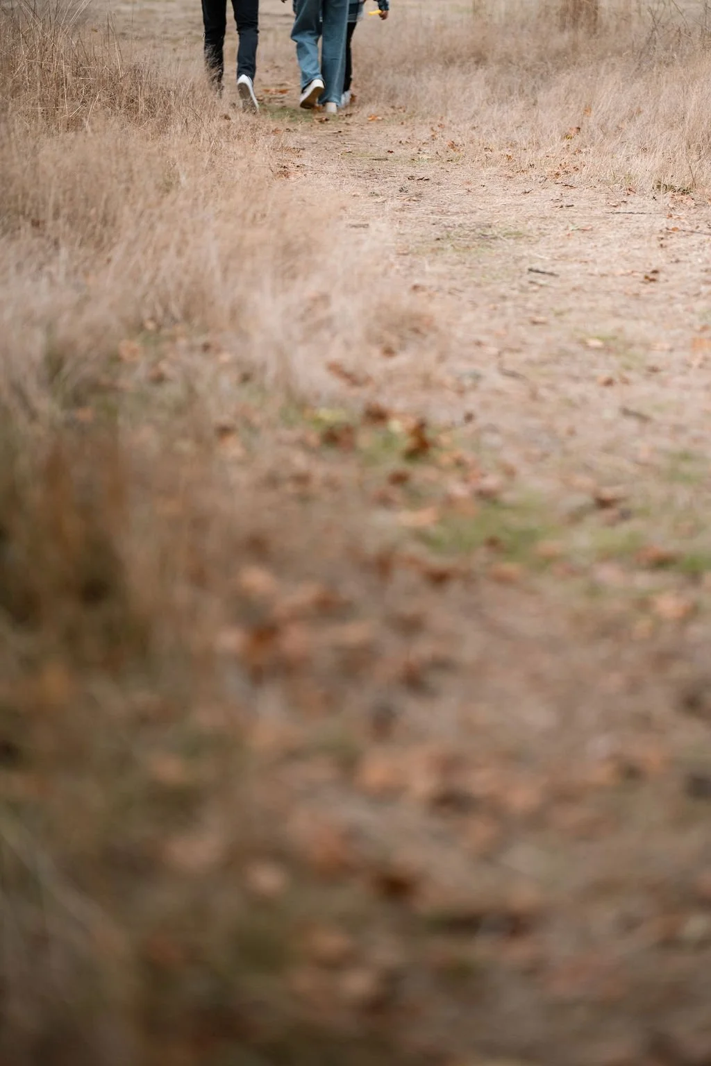 Jessica Broadhead Photography Family Portraits Baby Infant Child Couple Children Kids Photographer Tacoma Seattle Washington Bonney Lake Puyallup