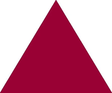 Maroon triangle on a white background.