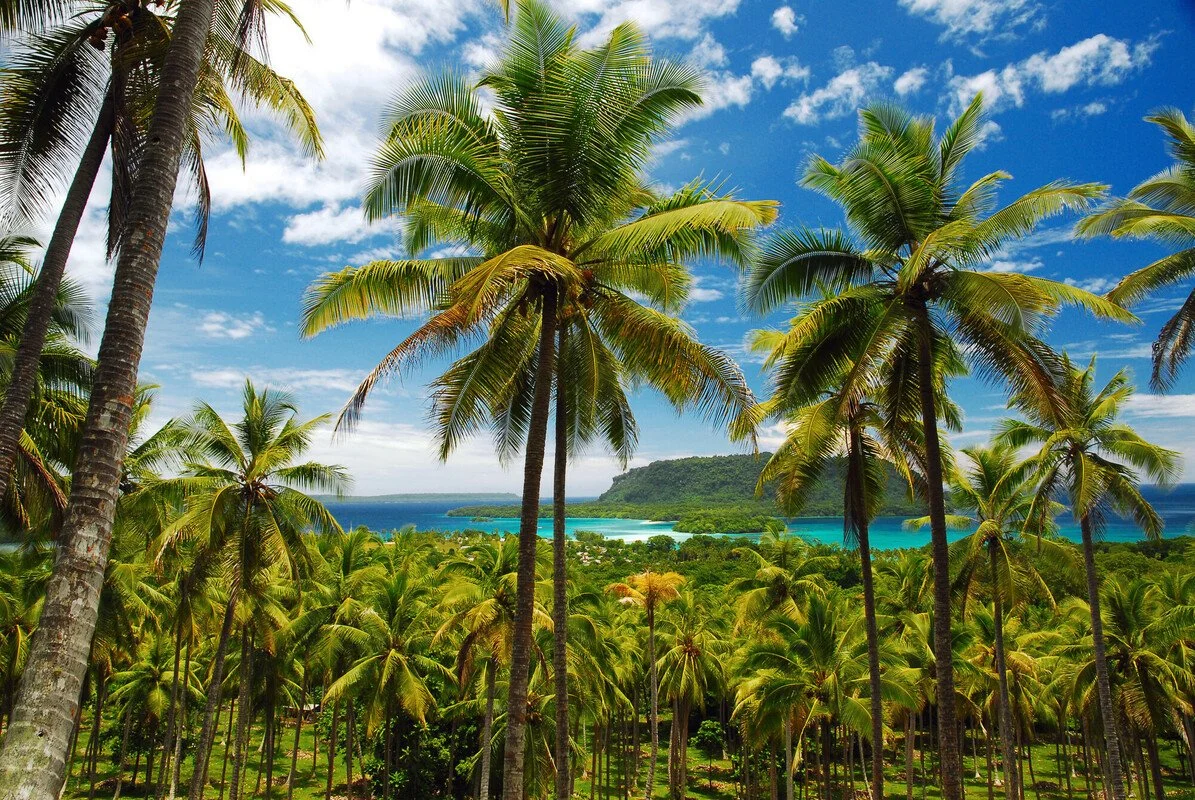 Tropical scene with tall palm trees, lush green vegetation, blue ocean, and a partly cloudy sky with white clouds.