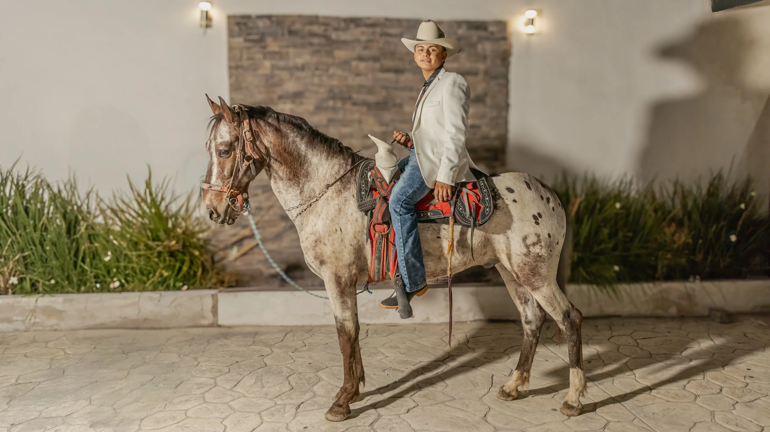 Plano abierto con luz controlada para separar a jinete y caballo del fondo. Cuidamos líneas y proporciones de la montura, preservando colores y detalle de la piel del caballo.
