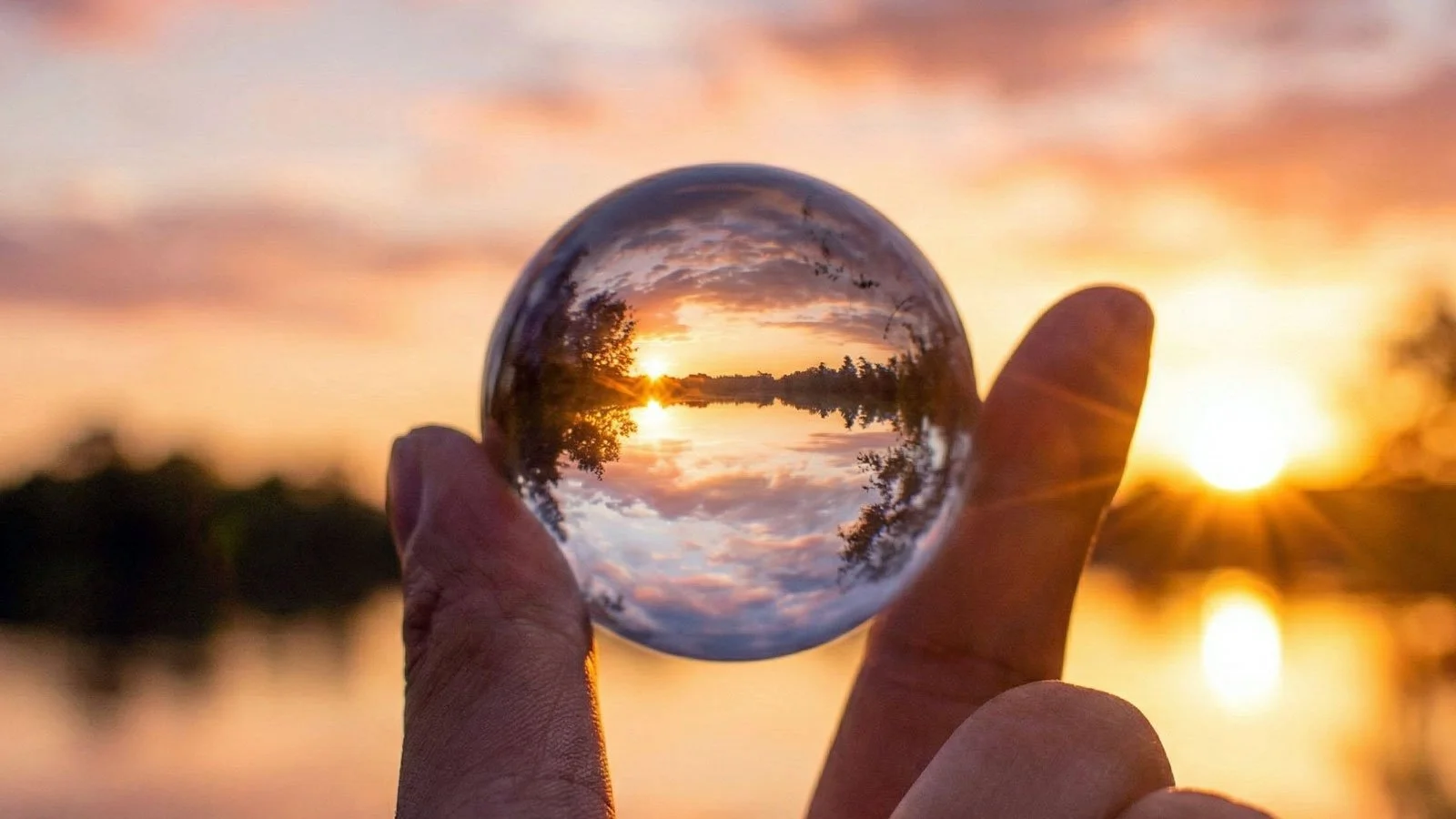 Build Your Team: What MedTech Investors &amp; Acquirers Demand