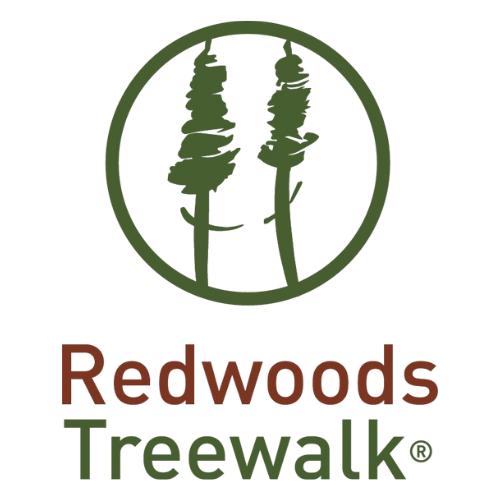 Logo of Redwoods Treewalk featuring two stylized green redwood trees inside a circle with the text 'Redwoods Treewalk' below.