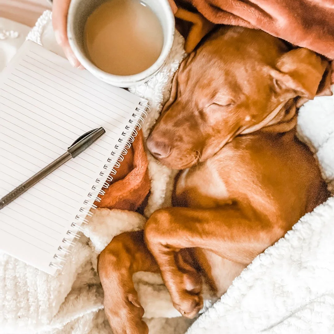 Contemplation questions