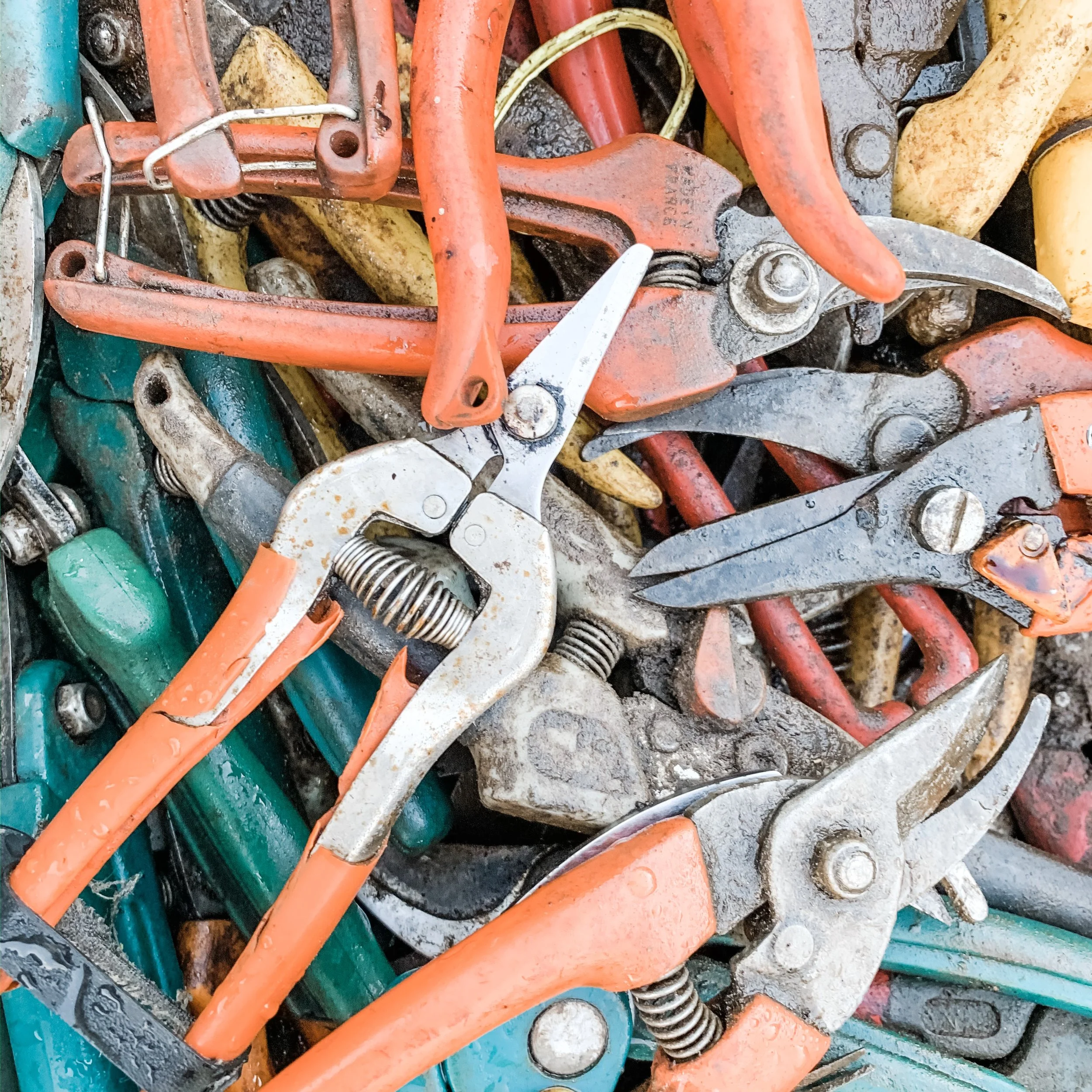 What Makes our State, so Damn Great!