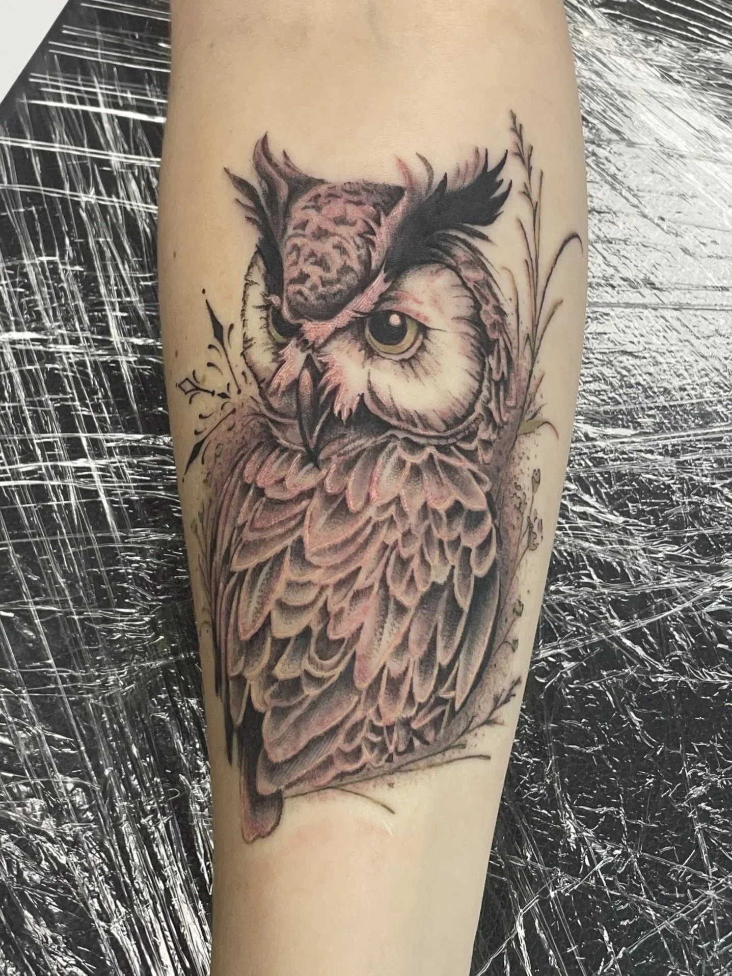 Black and gray owl tattoo on skin, features detailed feathers and top of head with some shading, created by Zing Phelps, in Cedar Rapids, Iowa