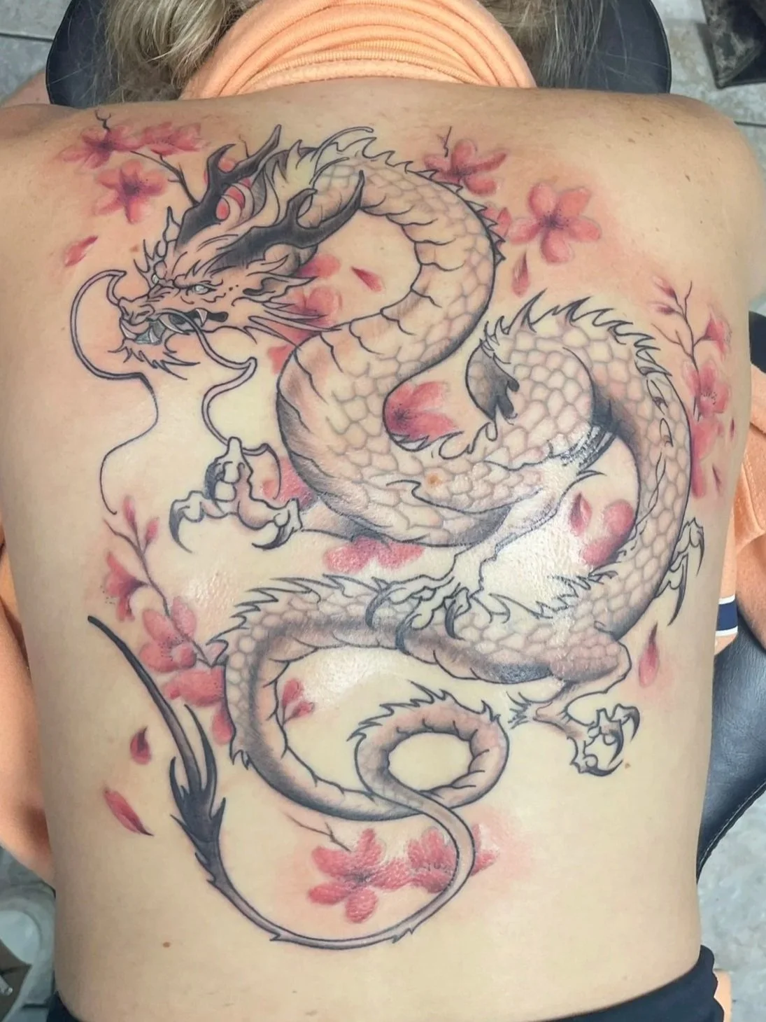 A detailed tattoo of a fierce dragon with an elongated, serpentine body, horns, and sharp claws, surrounded by pink cherry blossom flowers on a person's back, tattooed by Zing Phelps, in Cedar Rapids, Iowa