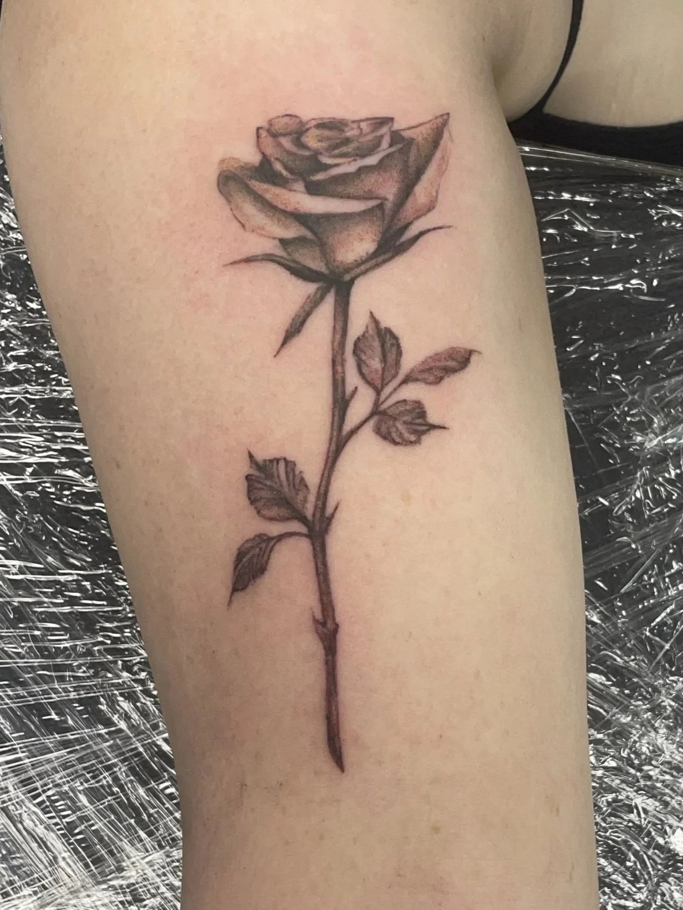 A realistic black and gray tattoo of a rose flower on a person's arm, tattooed by Zing Phelps, in Cedar Rapids, Iowa
