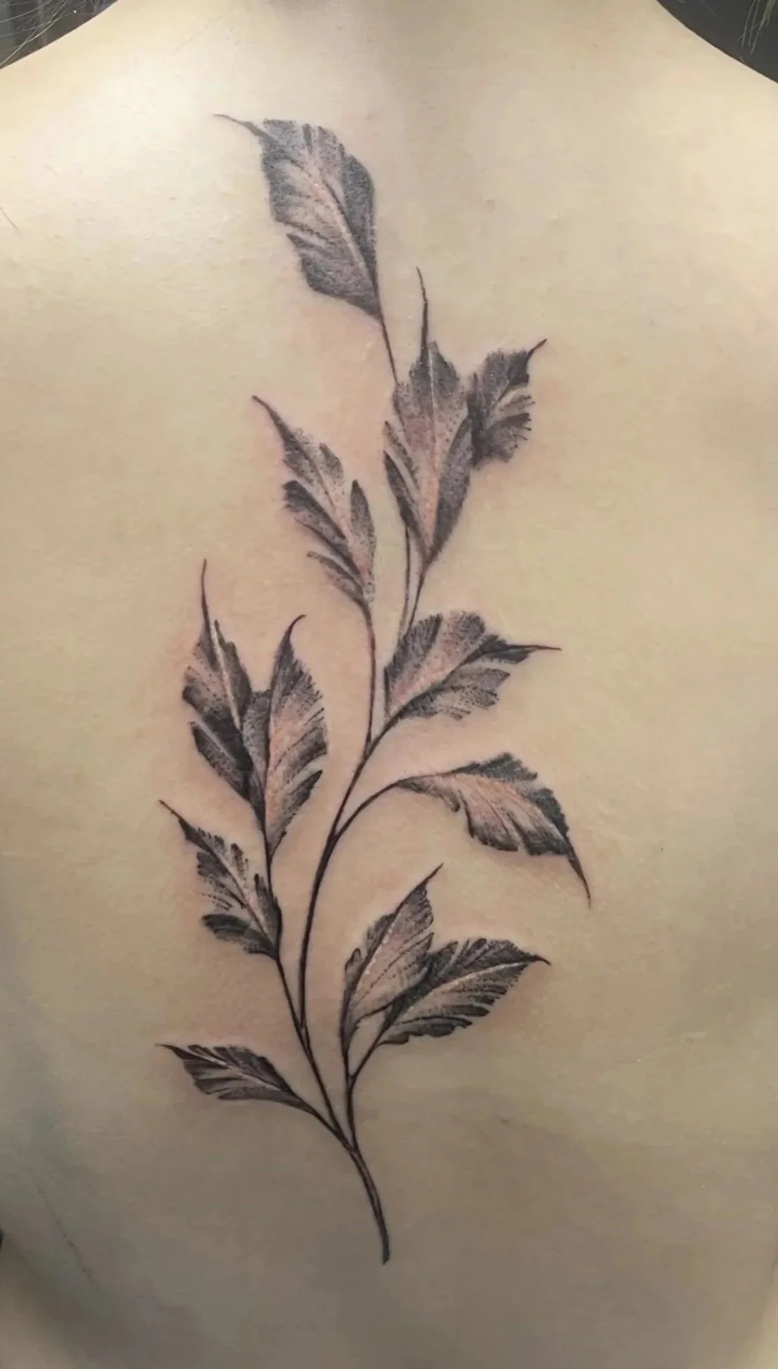 A tattoo of a branch with multiple leaves, stipple shading, tattooed by Zing Phelps, in Cedar Rapids, Iowa