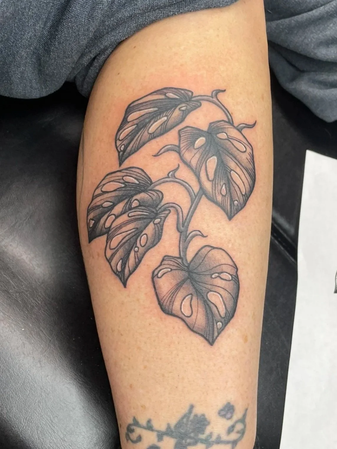 Tattoo of a Monstera plant with detailed leaves on a person's calf, tattooed by Zing Phelps, in Cedar Rapids, Iowa