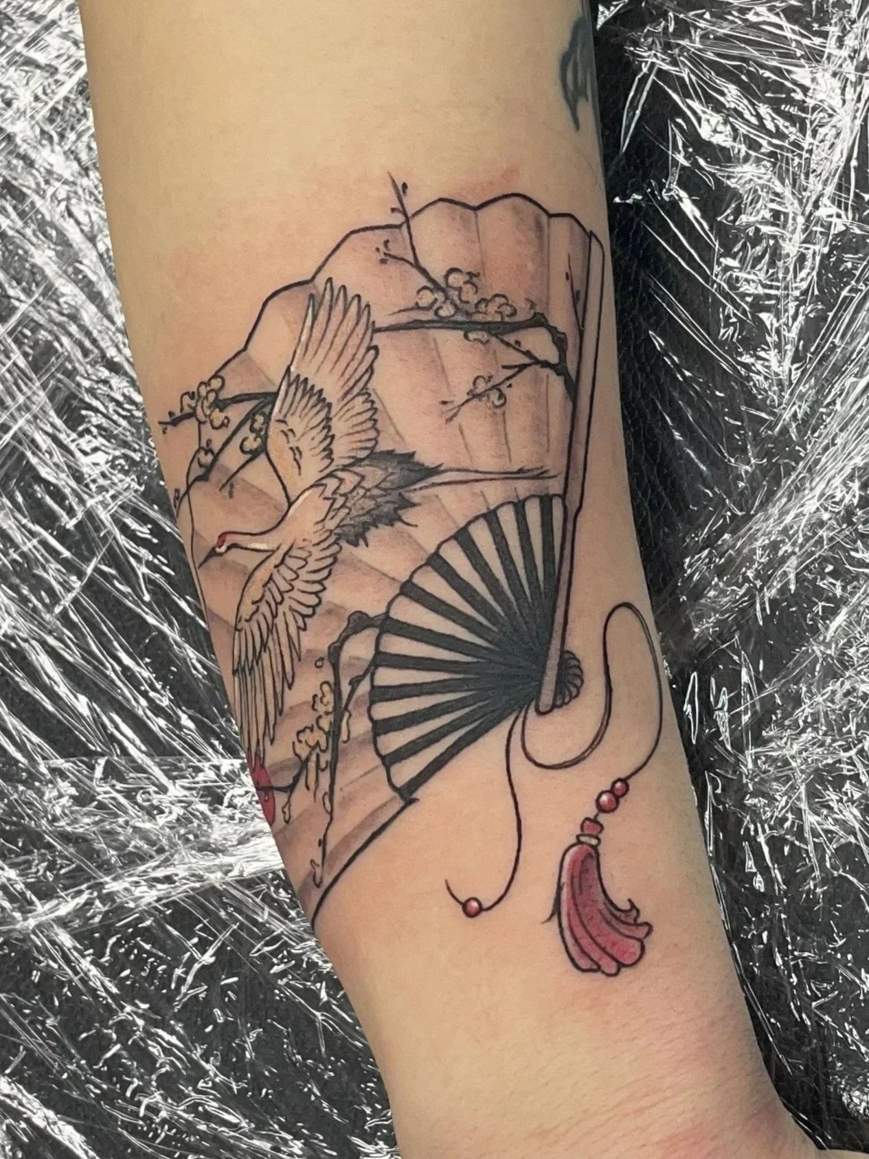 A tattoo featuring a traditional Japanese fan, a crane, and cherry blossoms, tattooed by Zing Phelps, in Cedar Rapids, Iowa
