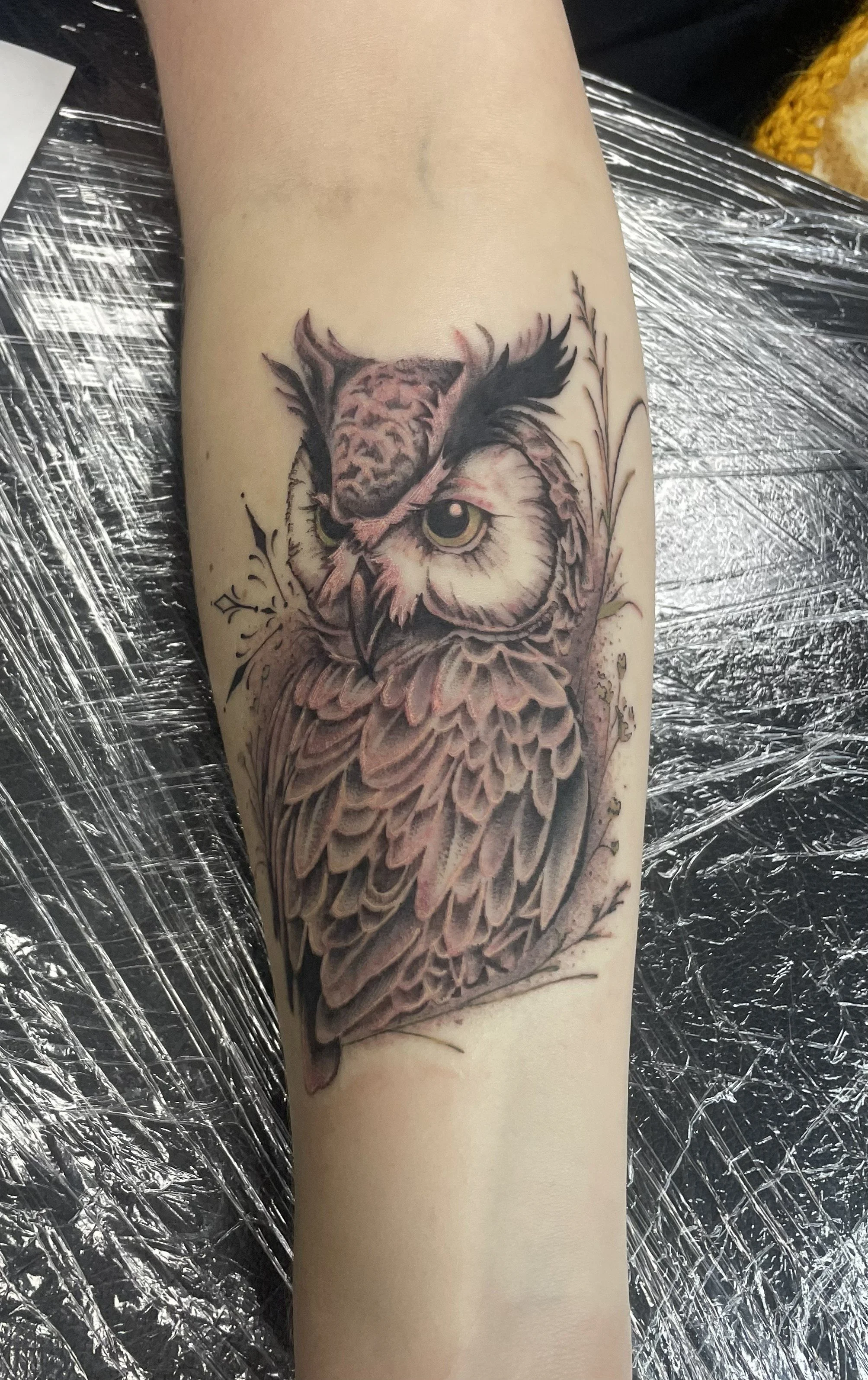 Tattoo of an owl with detailed feathers, sitting on a branch, best tattoo shops near me, tattooed by Zing Phelps, in Cedar Rapids, Iowa