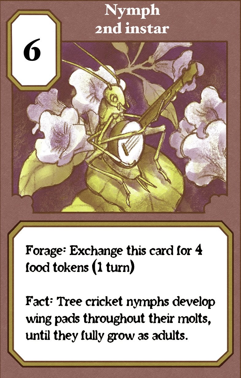 Cricket Cacophony: An educational game about the life history of snowy tree crickets!