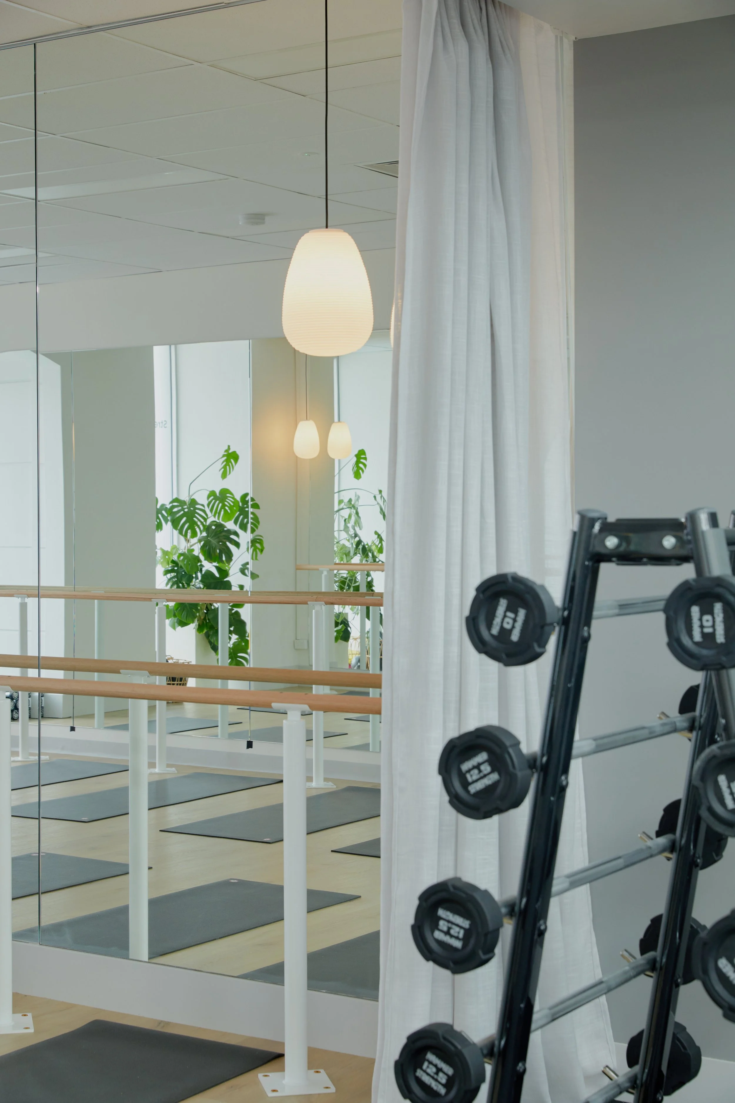 Fitness or dance studio with black dumbbells on a rack in the foreground, therapy or ballet bars on mirrors, potted plants, hanging pendant lights, and large windows.