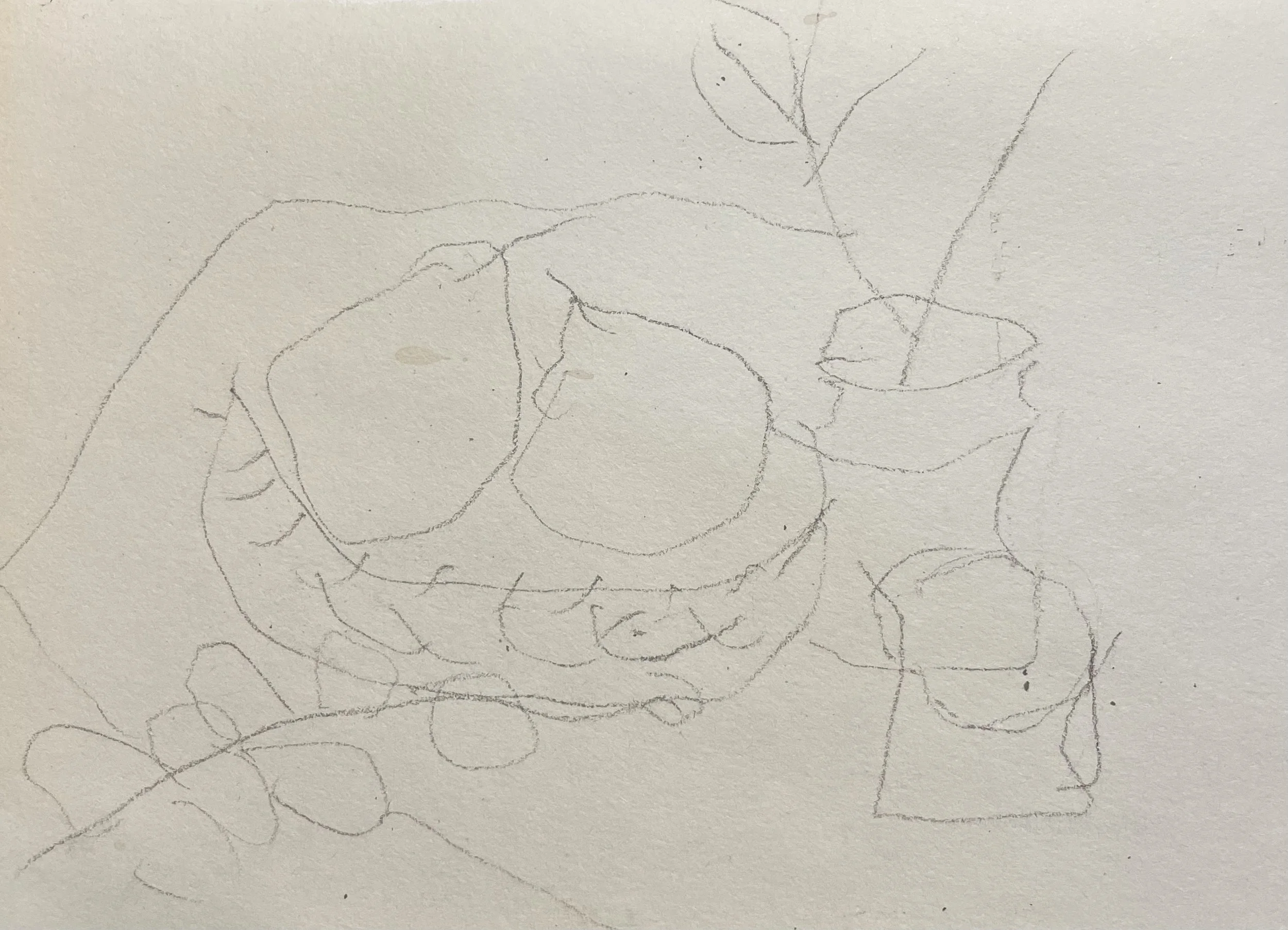 Sketchbook.jpg