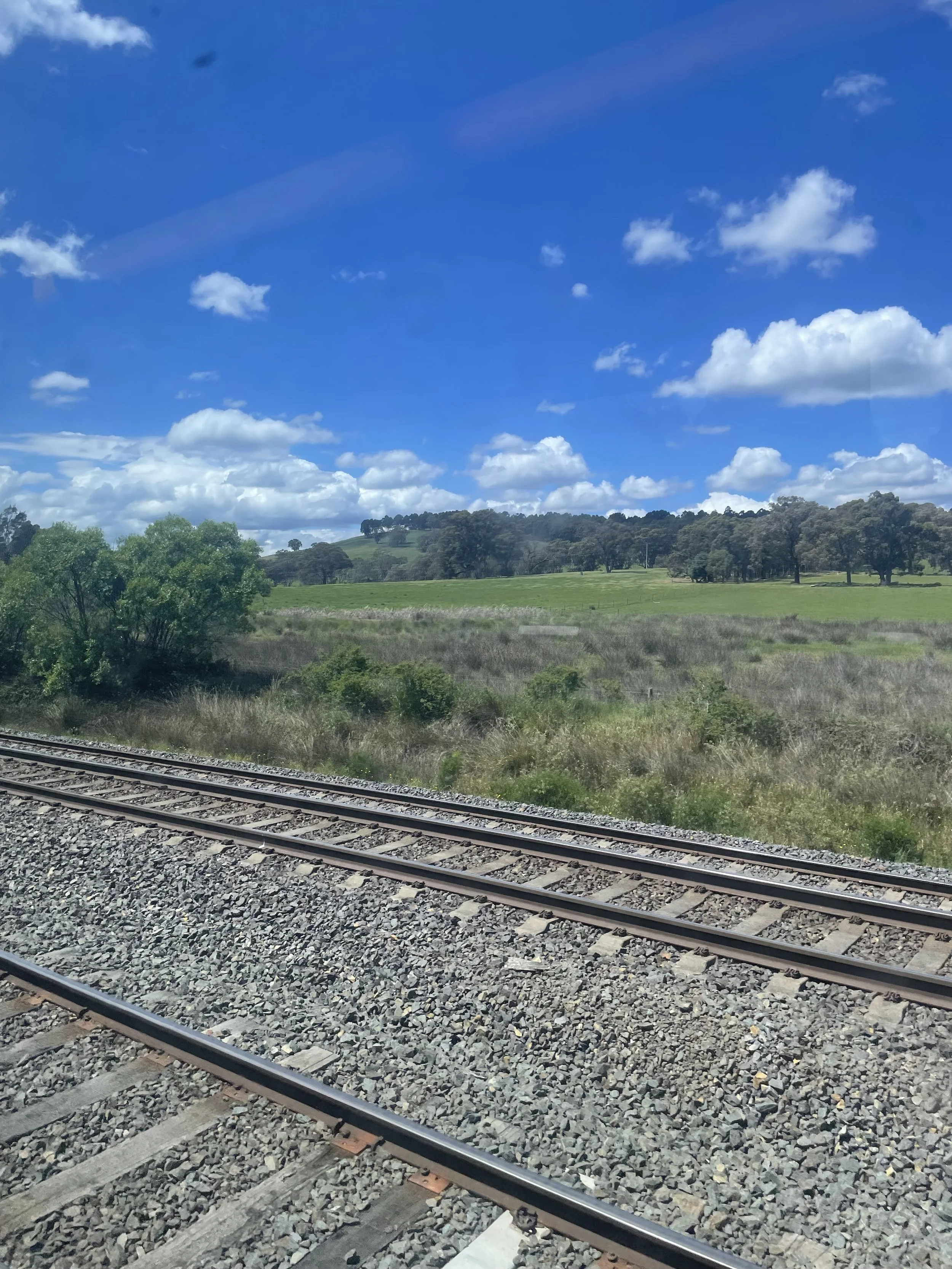 View from the train.jpg