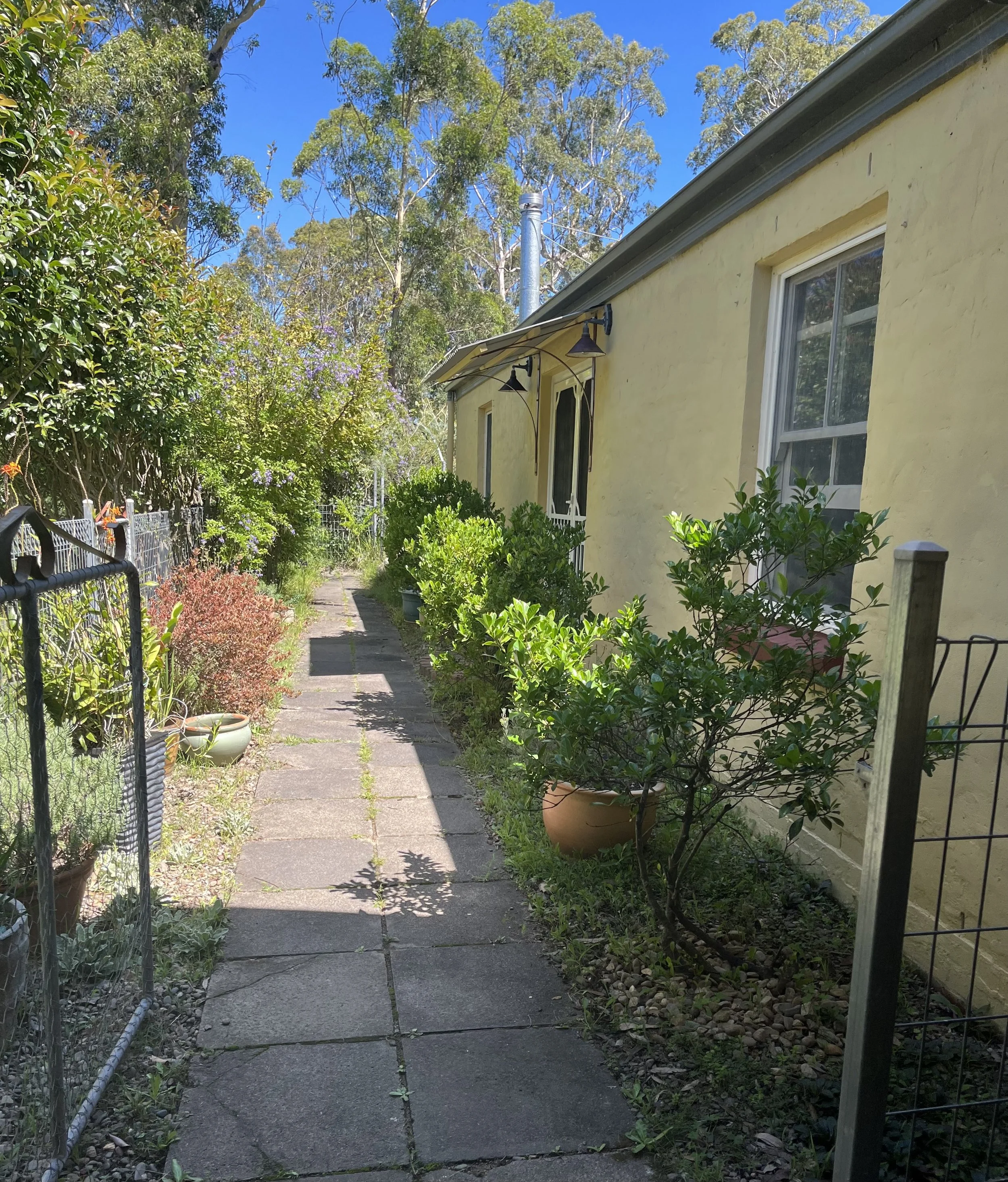 A narrow sidewalk bordered by lush green bushes and plants leading to a house with yellow exterior walls, a window, and garden lights. Tall trees with green foliage are visible in the background under a clear blue sky.