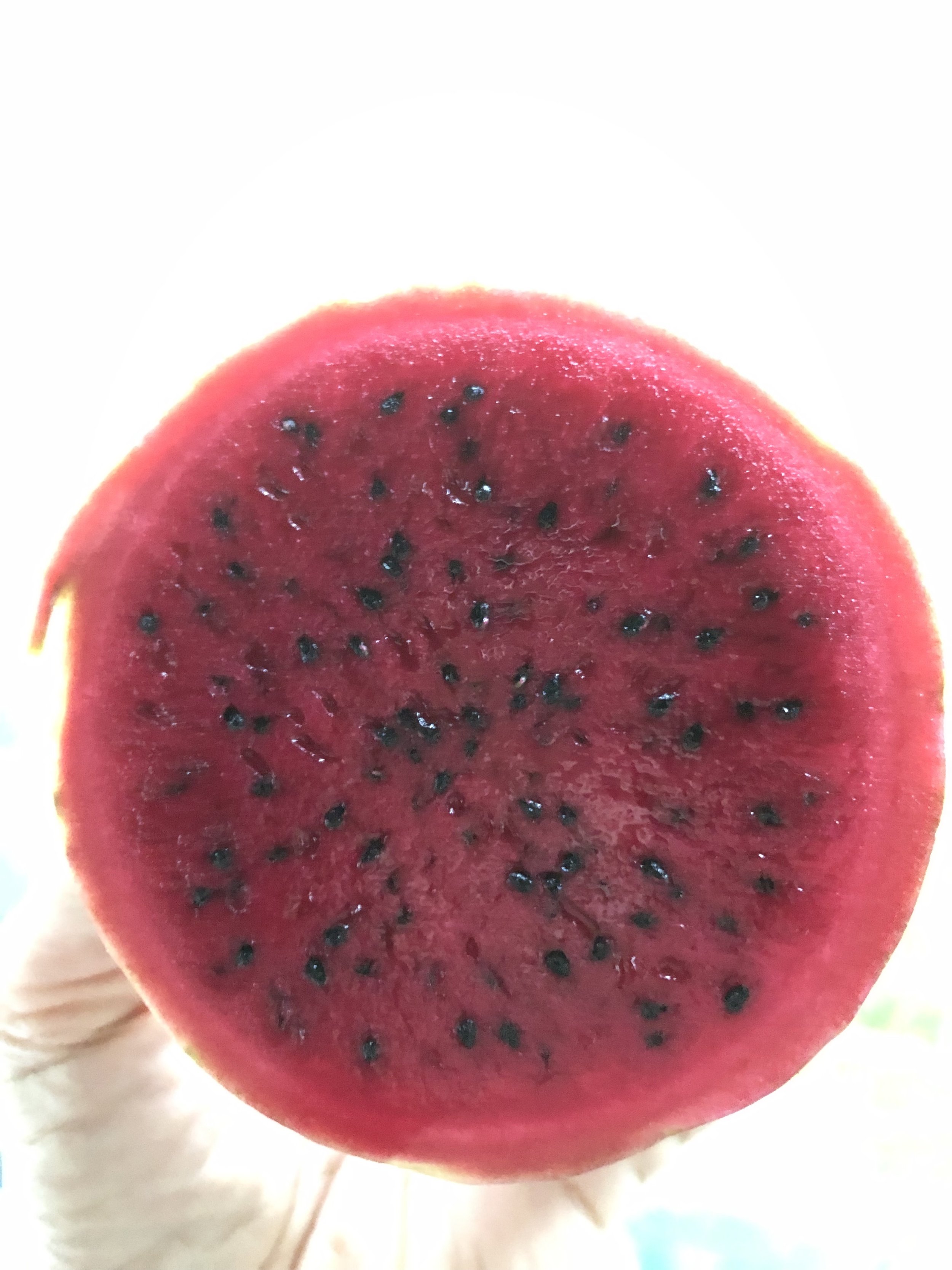 FOREST-GARDEN-FOODS-DRAGON FRUIT.jpg