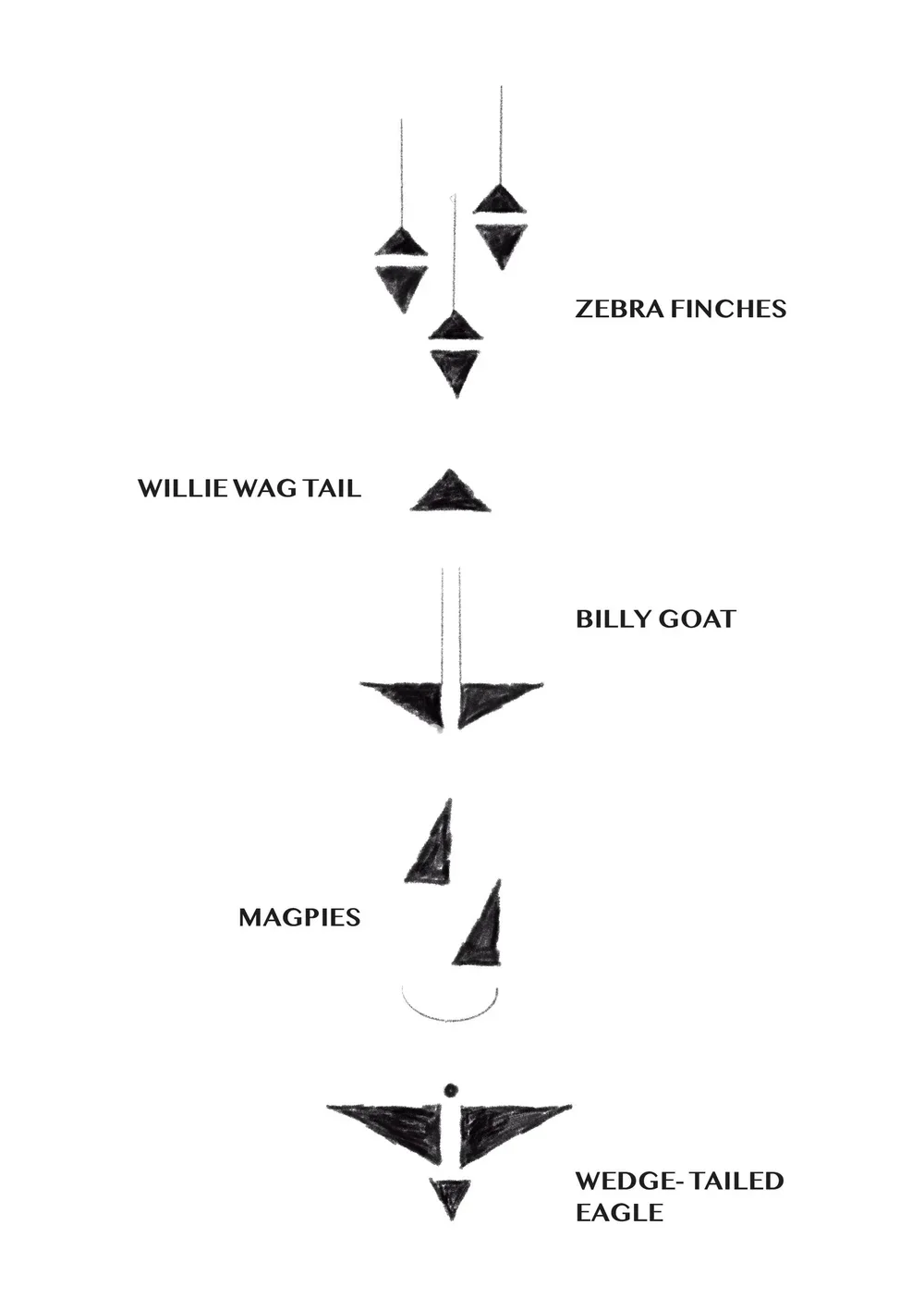 Shape_Notes_2CharlotteHaywood.webp