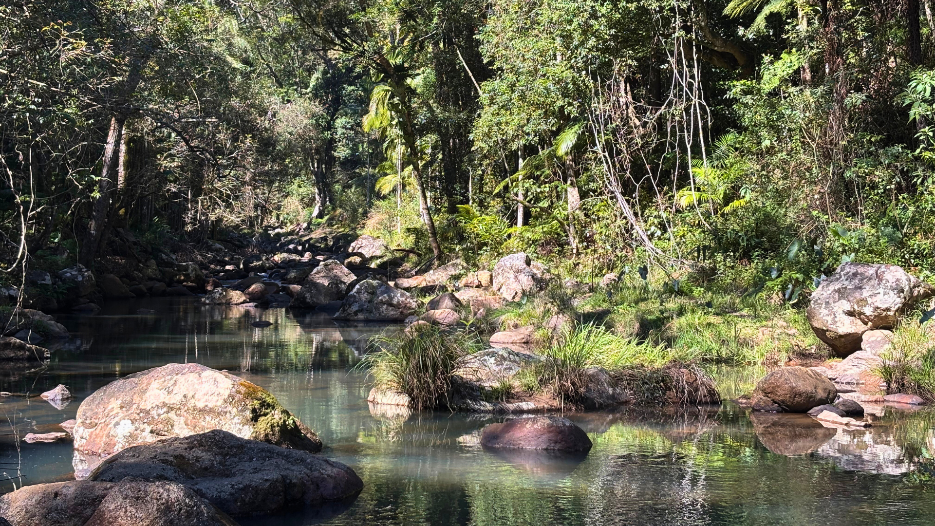 LOCALE: Wilson's Creek