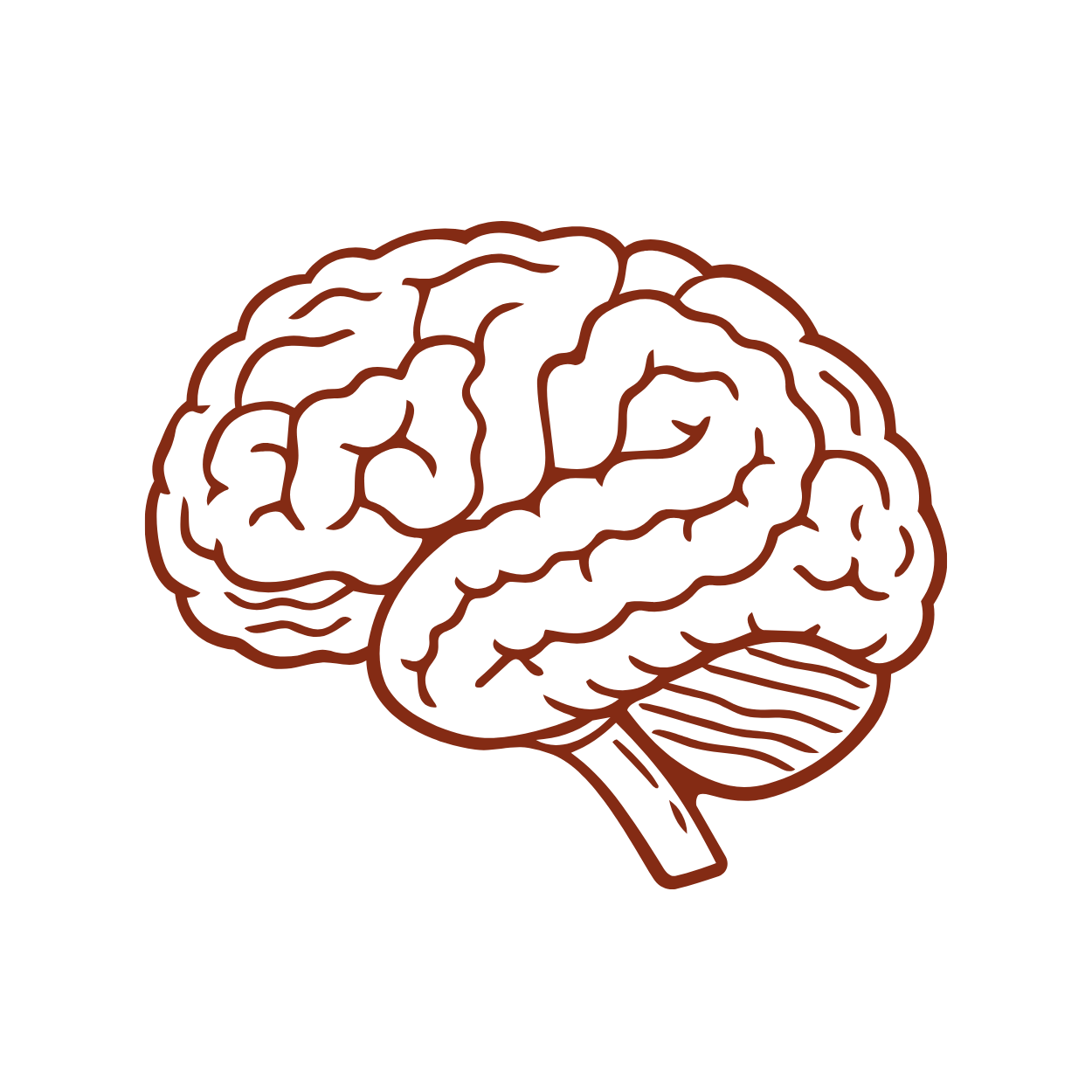 Nervous system support icon