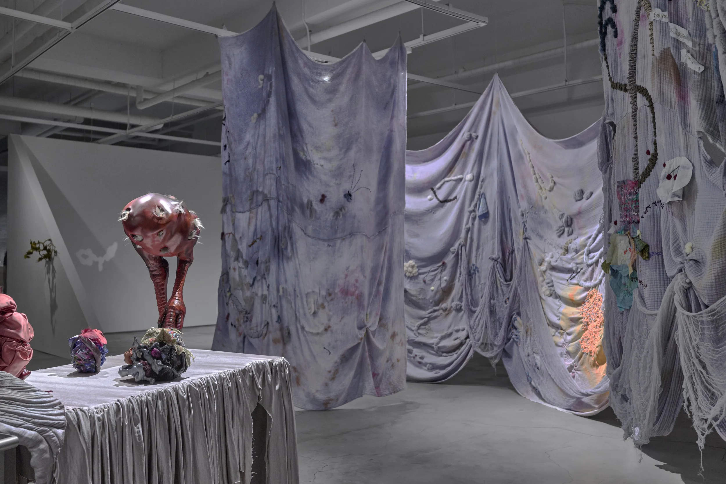 2026 Faisandage, G Gallery, Seoul ©이승헌 (Courtesy of G Gallery)