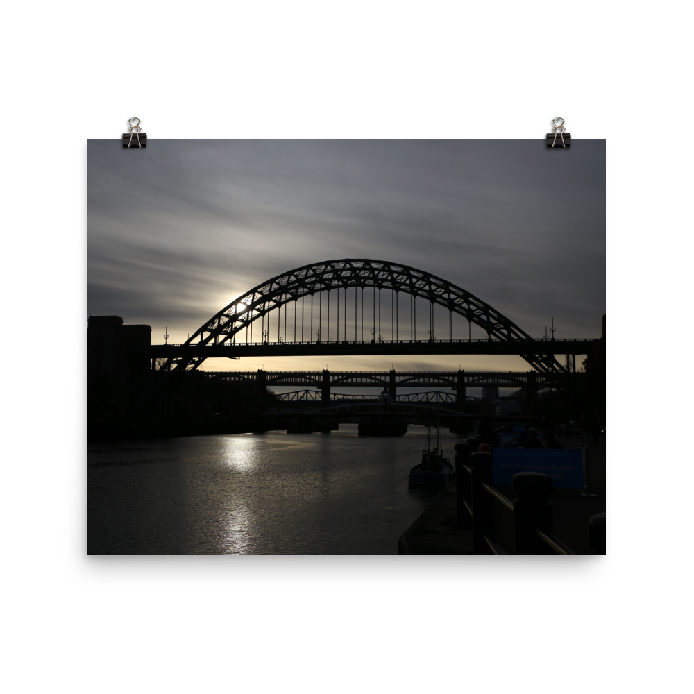enhanced-matte-paper-poster-(in)-16x20-transparent-6a95b0dfb52e0.png