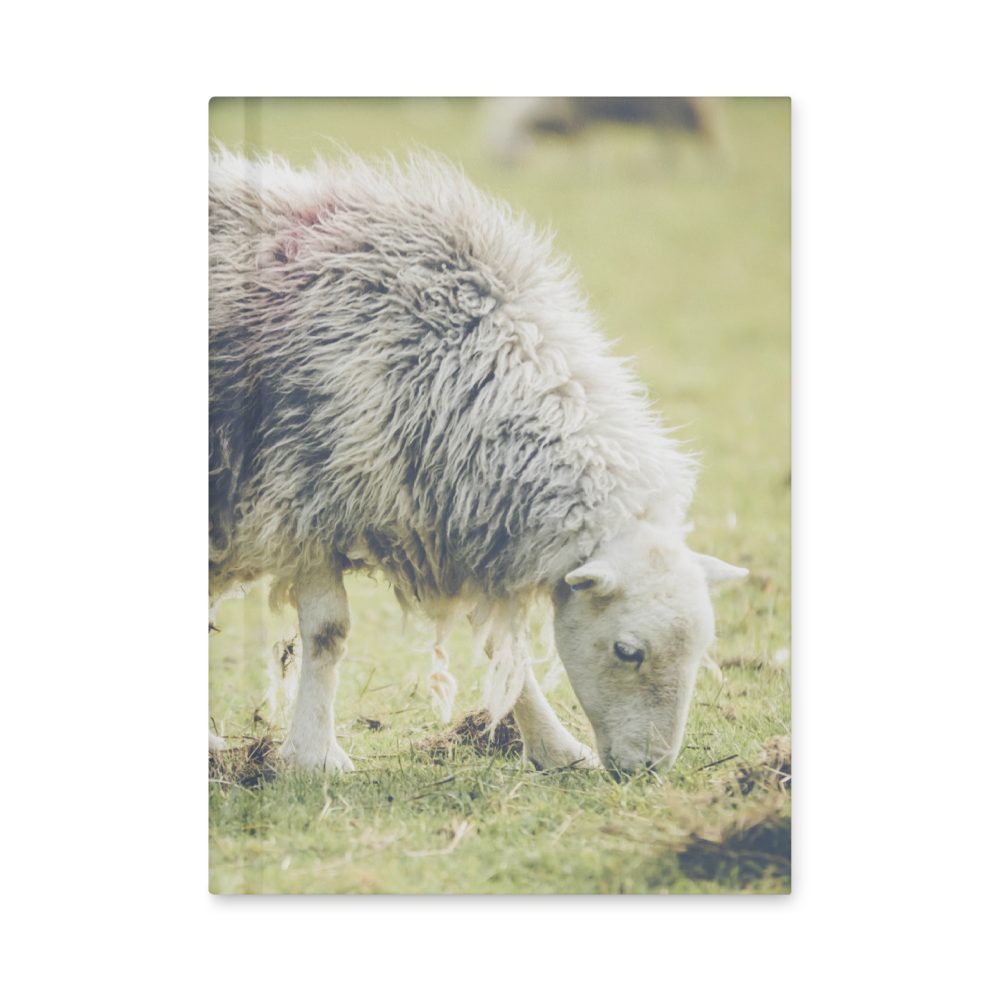 Hardcover journal matte - Sheep in the Lake District