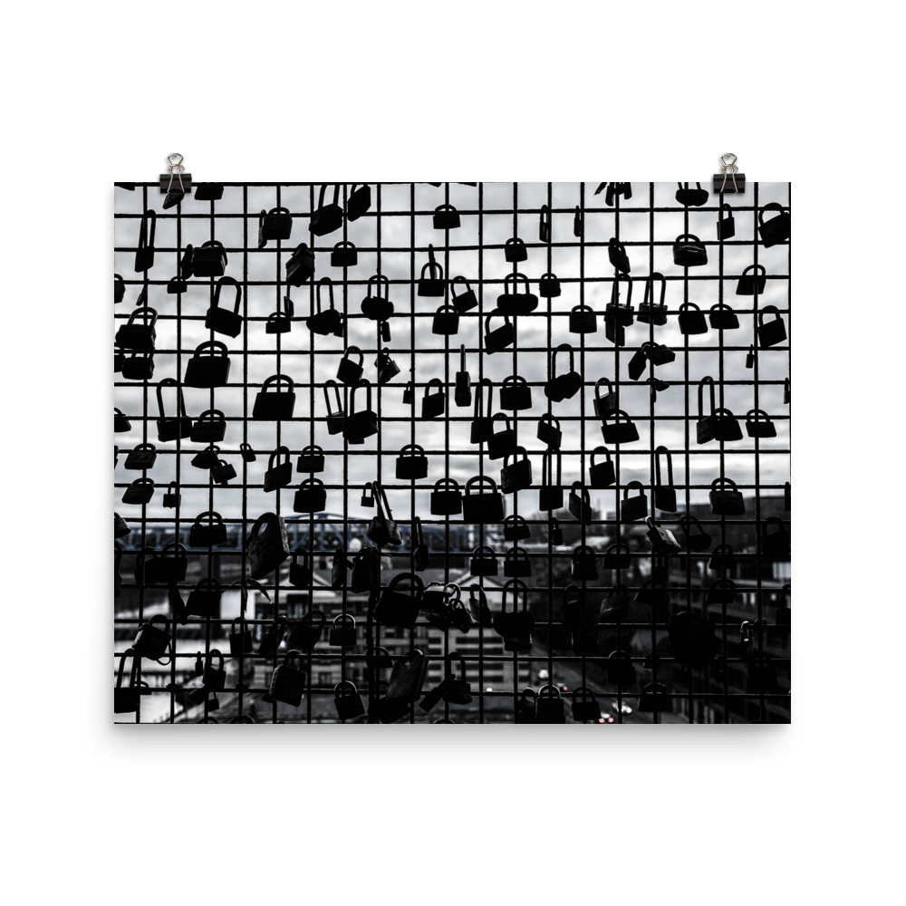 enhanced-matte-paper-poster-(in)-16x20-transparent-6a95af2c396f7.png