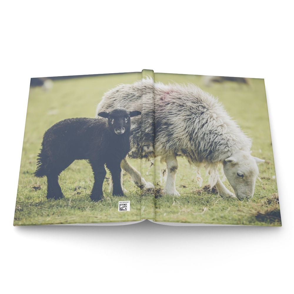 hardcover-journal-matte-white-8x5.75-front-6a7368b42a748.png