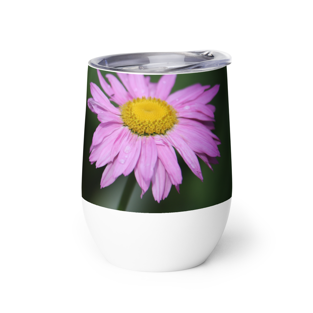 wine-tumbler-white-left-6a7395de1d4f9.png