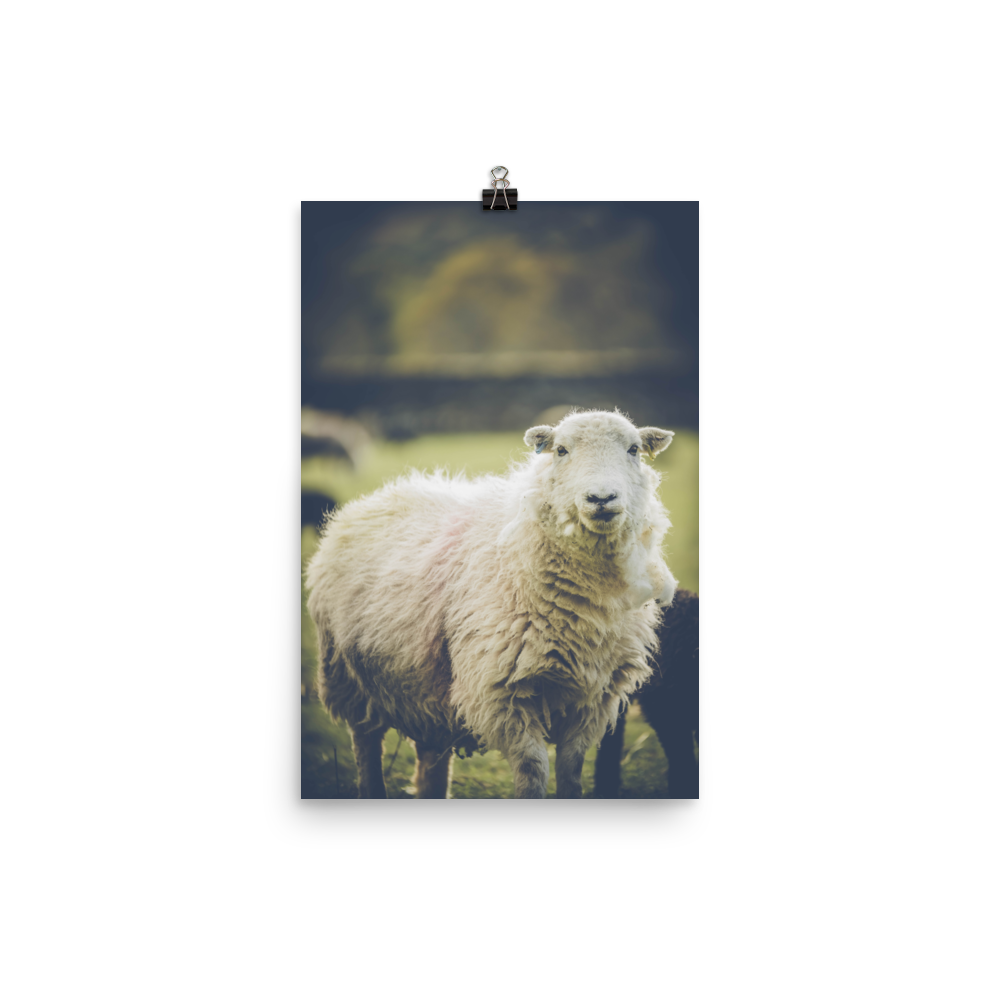 premium-luster-photo-paper-poster-(in)-12x18-transparent-6a95b1c249ca9.png