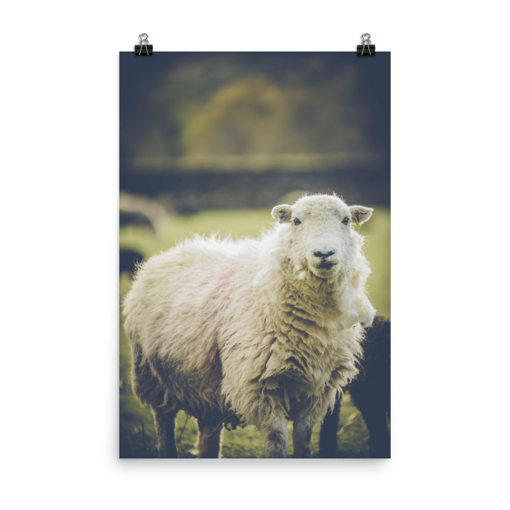 premium-luster-photo-paper-poster-(in)-24x36-transparent-6a95b1c249974.png