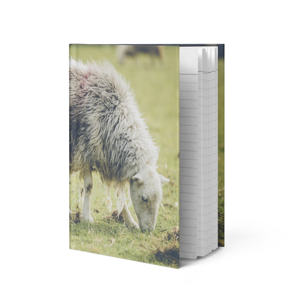 Hardcover journal matte - Sheep in the Lake District