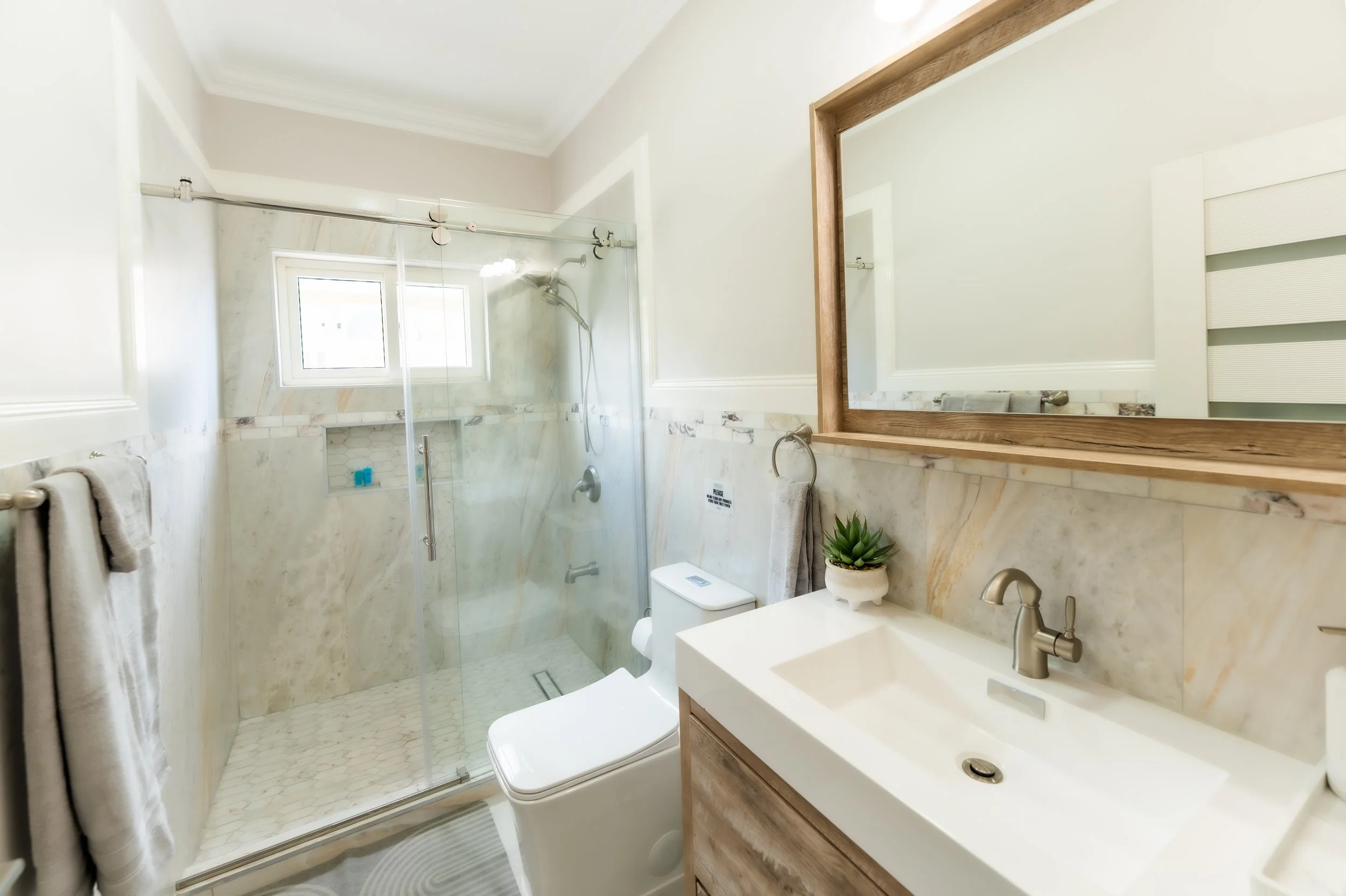Bathroom with a walk-in shower, toilet, and vanity with sink and mirror, decorated with a small potted succulent.