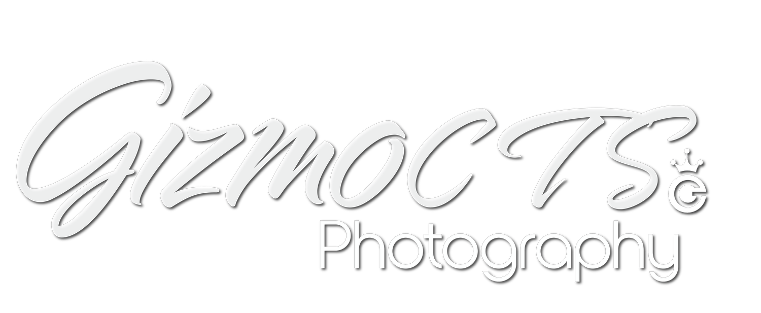GizmoCTS - PHOTOGRAPHY | TECH | MULTIMEDIA