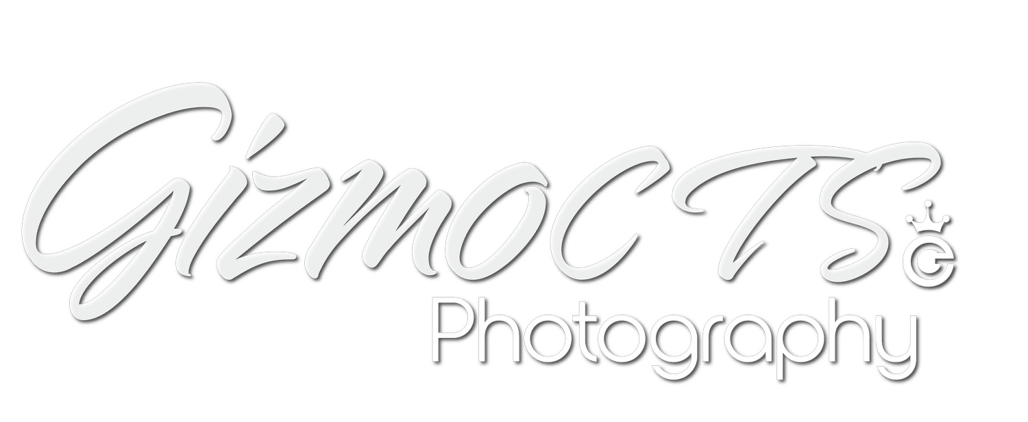 GizmoCTS - PHOTOGRAPHY | TECH | MULTIMEDIA