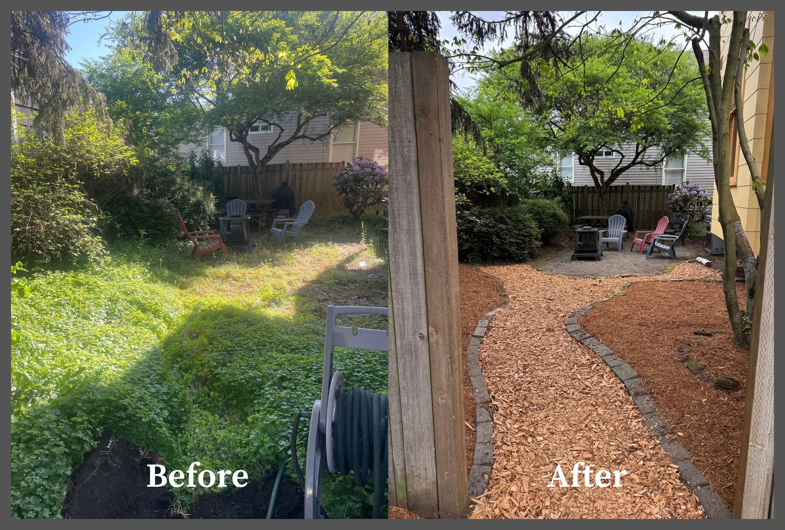 Comparison of a backyard before and after landscaping. The left side shows overgrown grass, weeds, and dense foliage, while the right side features a cleared, mulch-covered pathway with trimmed bushes and a tidy yard.